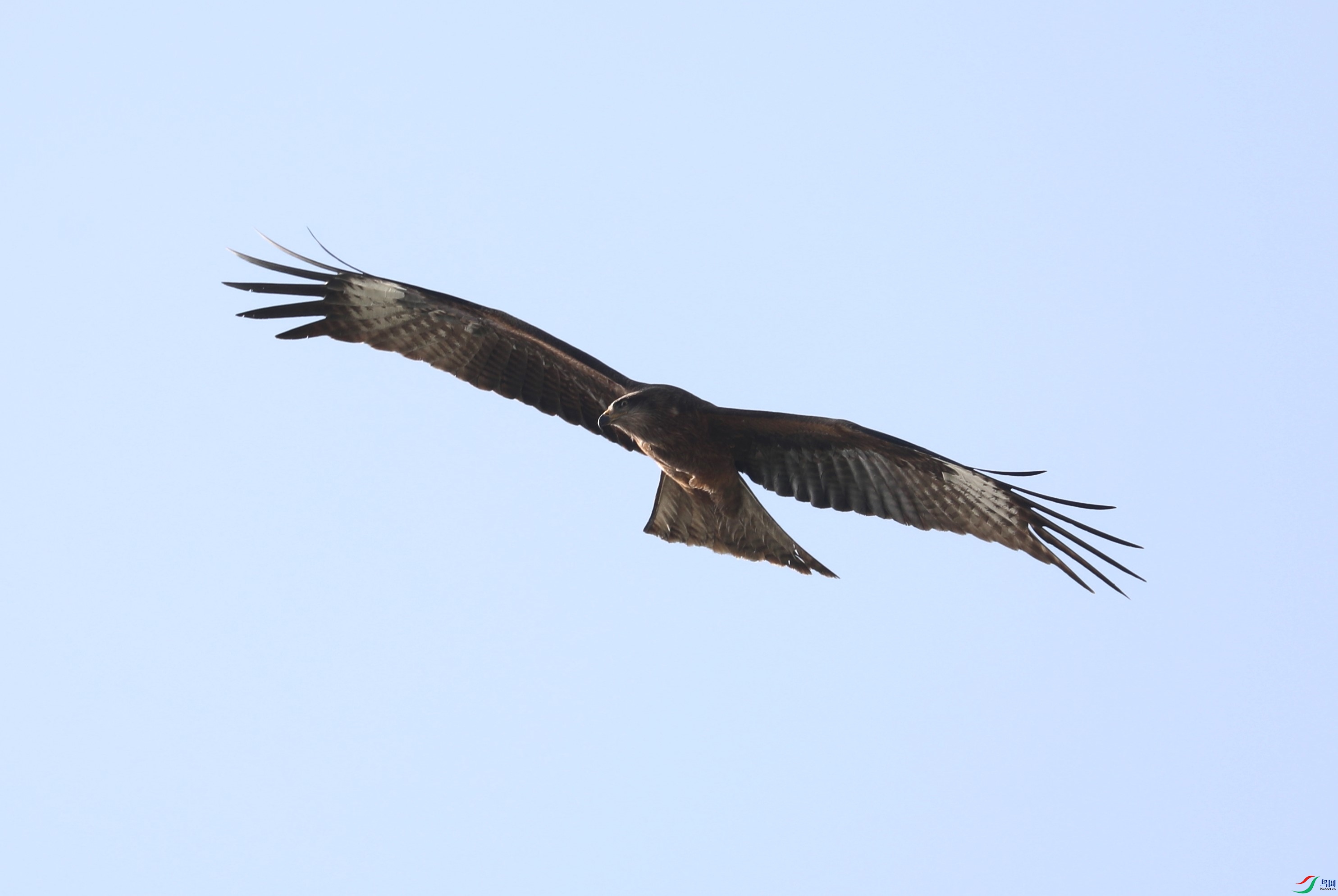 BL7A8840.JPG