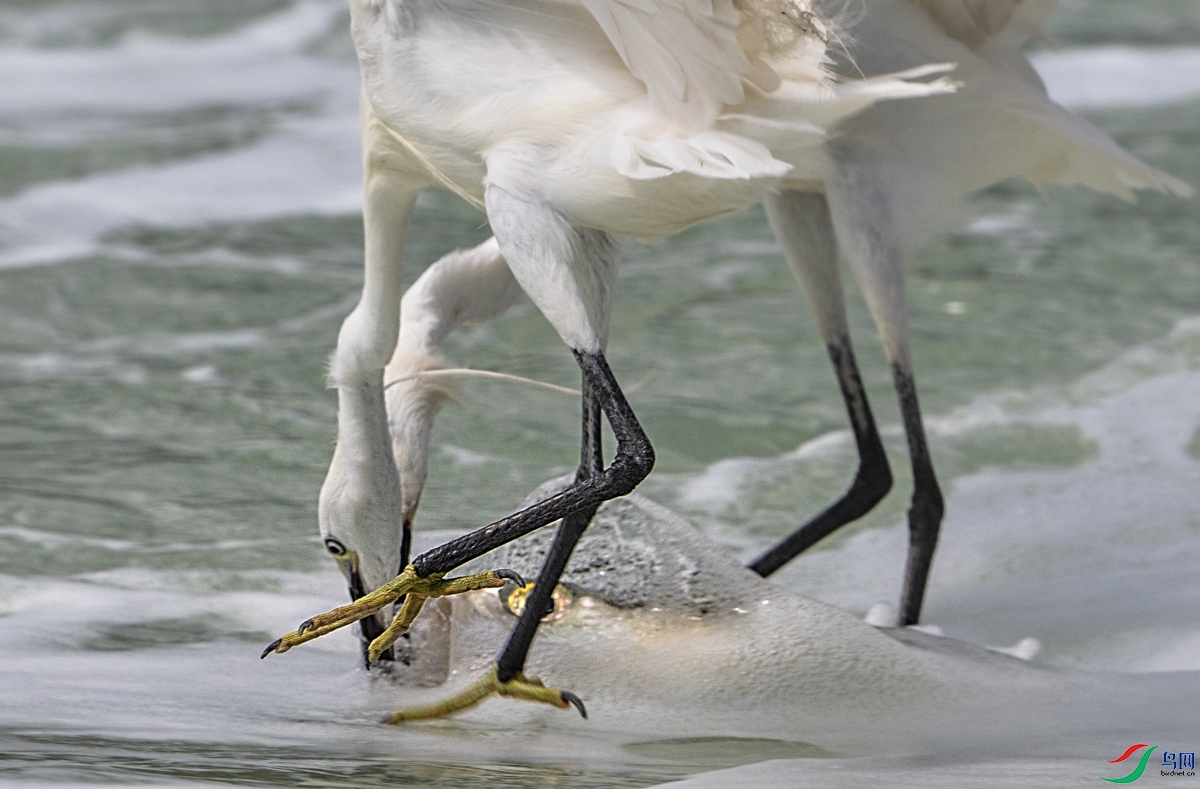 DSC_5161 ����_6461.JPG