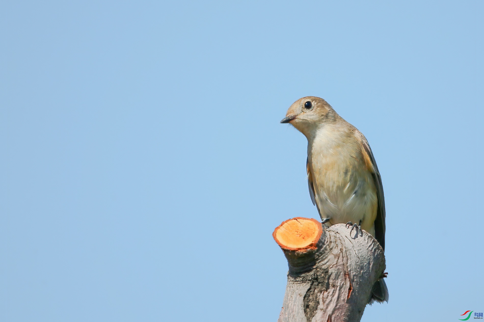 AQ4P9476-1.jpg