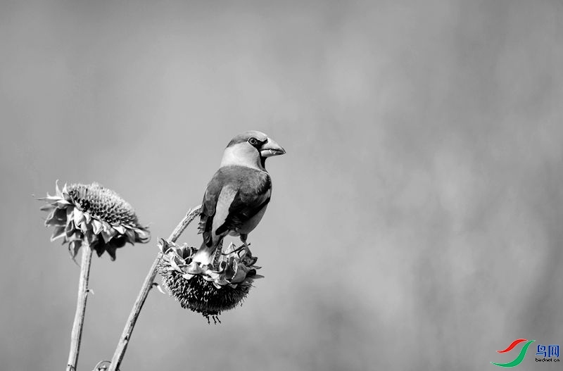 143251frk0ztp694jr01kp.jpg