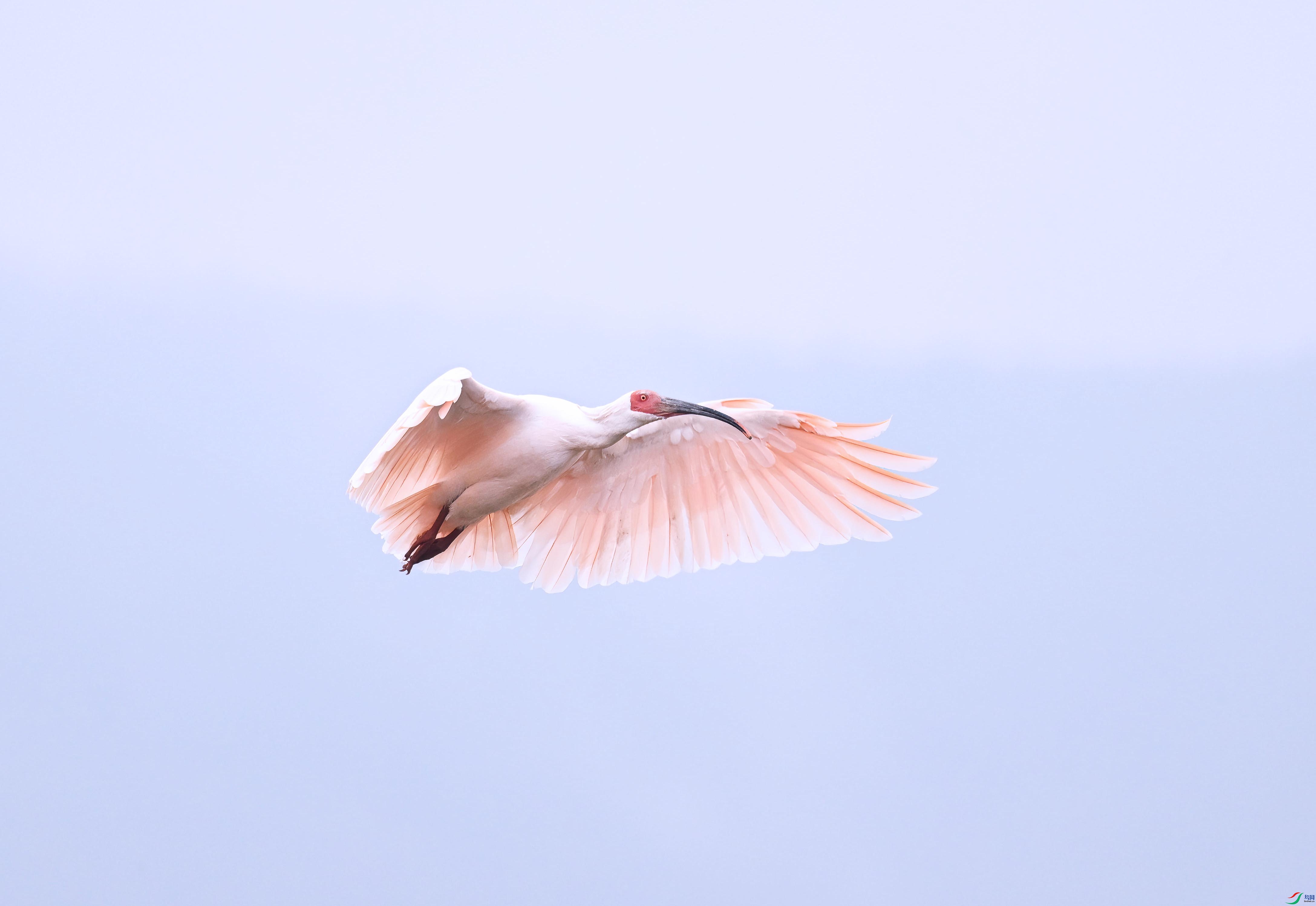 DSC_9780 ����.jpg