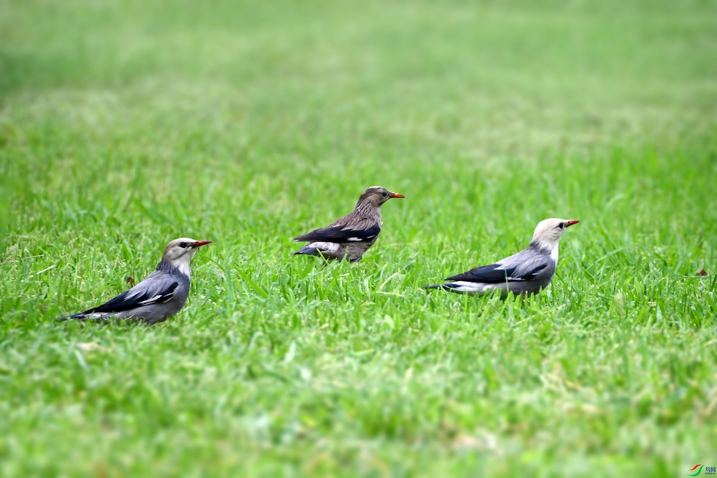 DSC_3945 ���� 2.jpg