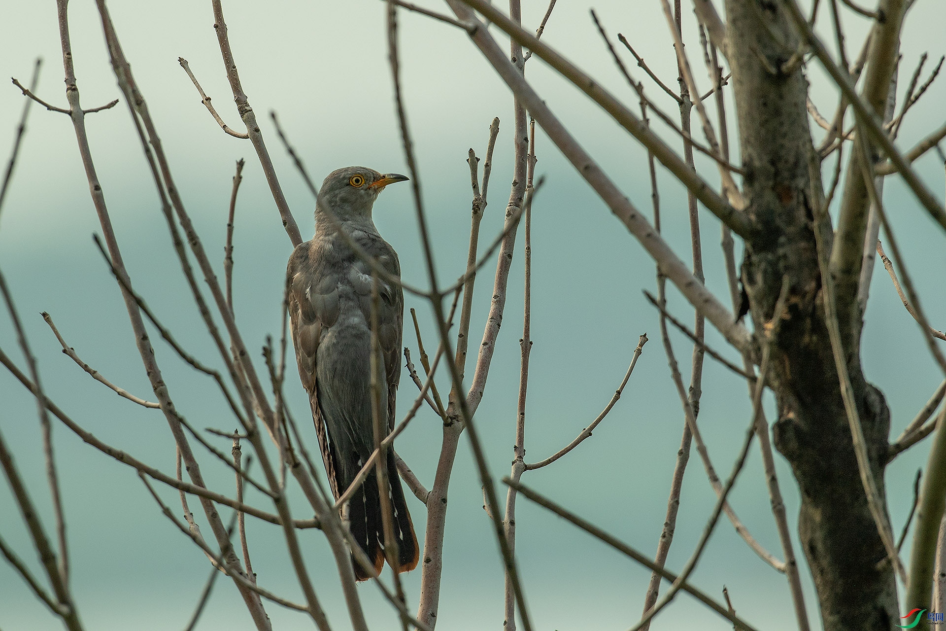 DSC_6494.jpg