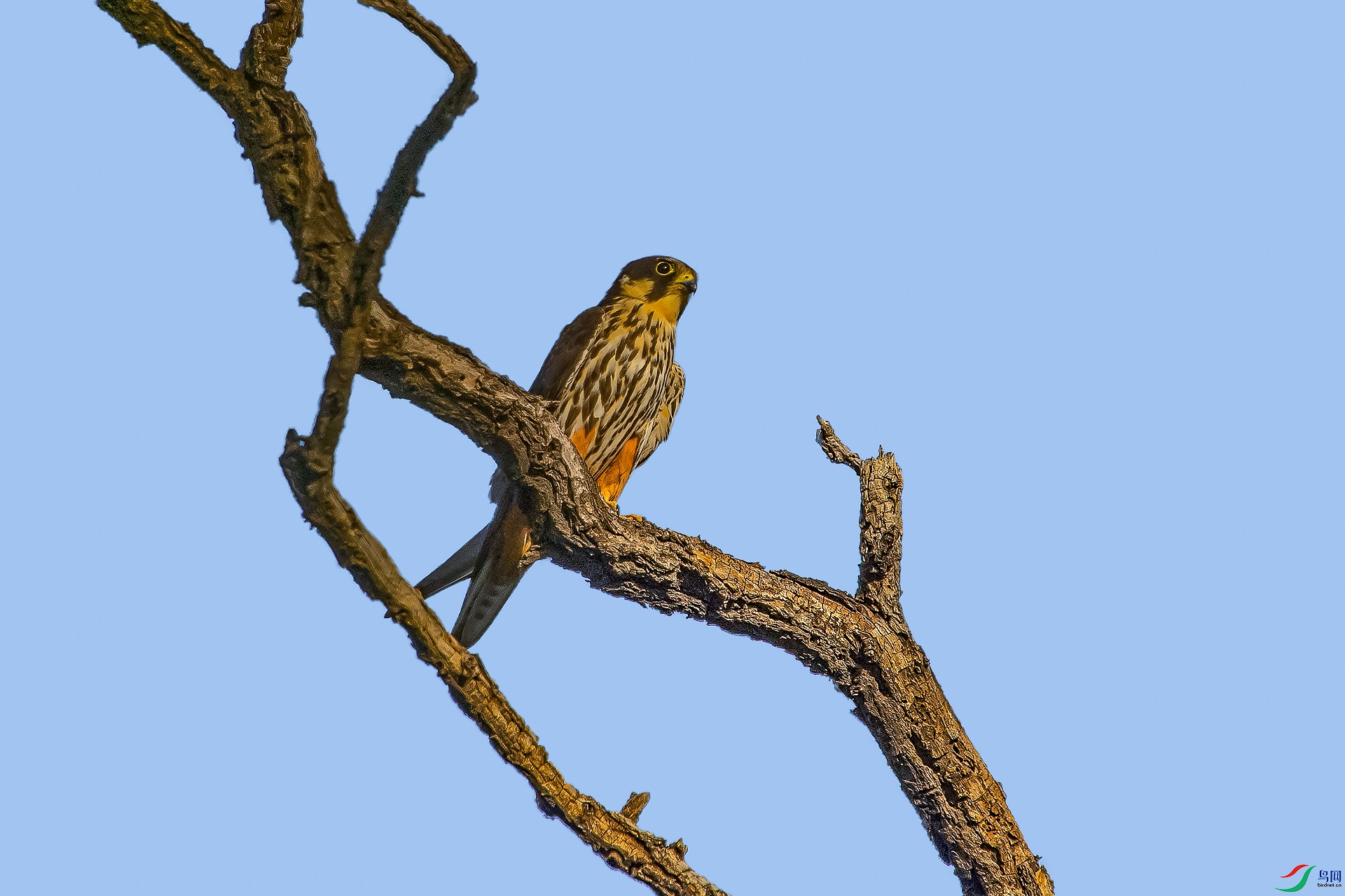DSC_4166.jpg