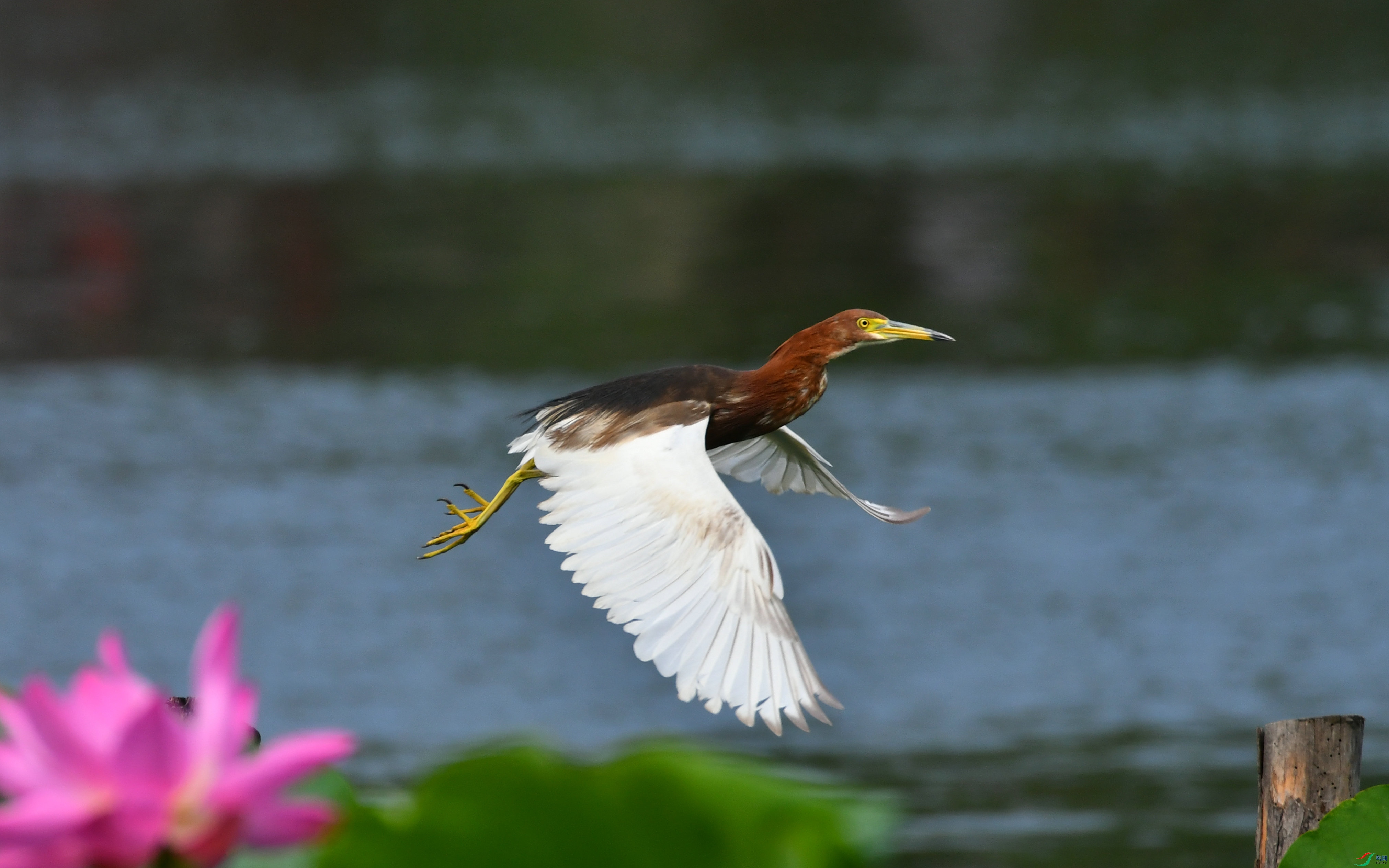DSC_7934.JPG