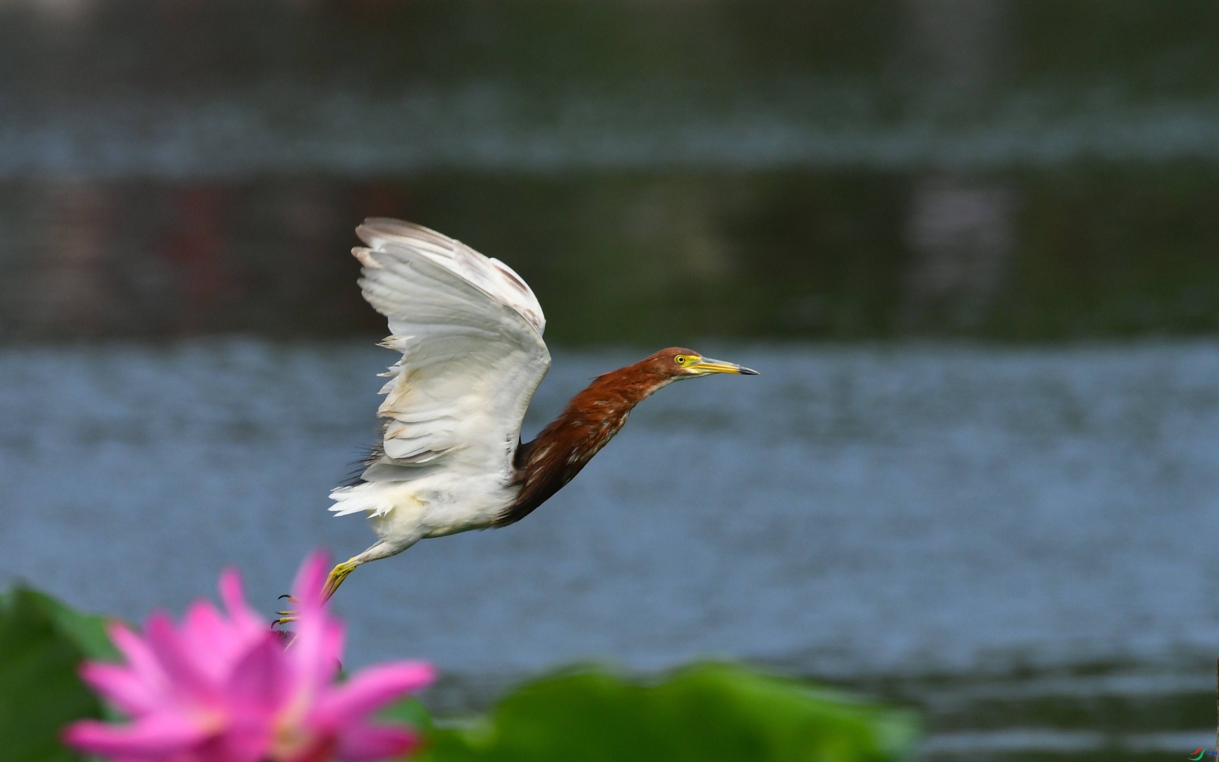 DSC_7933.JPG