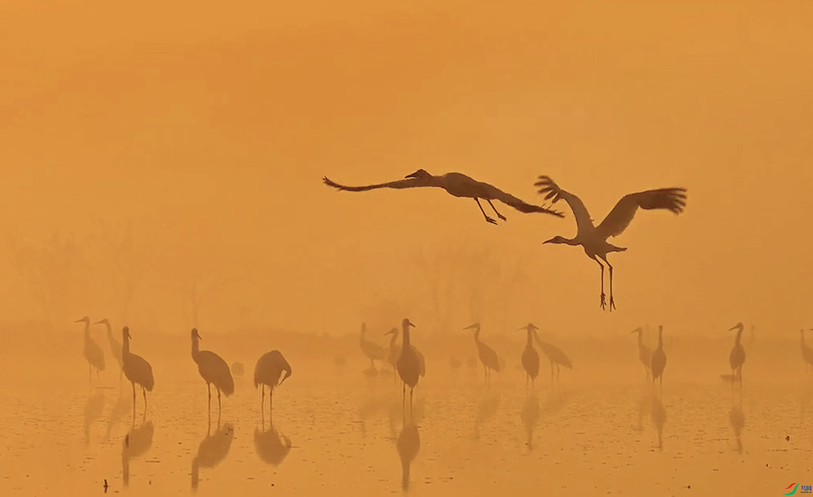 ����2024-07-04 21.25.53.png