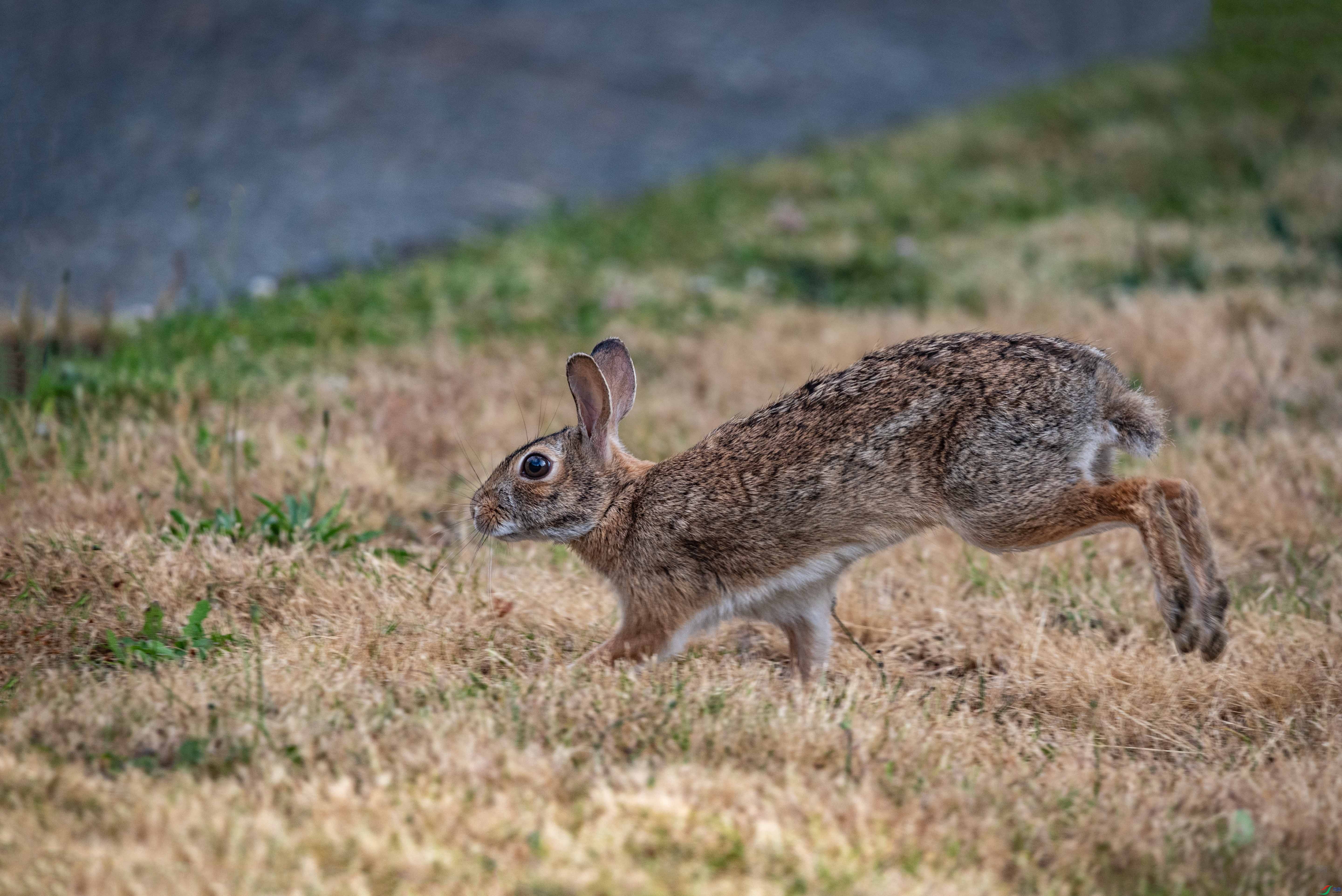 DSC_7489 ����2.jpg