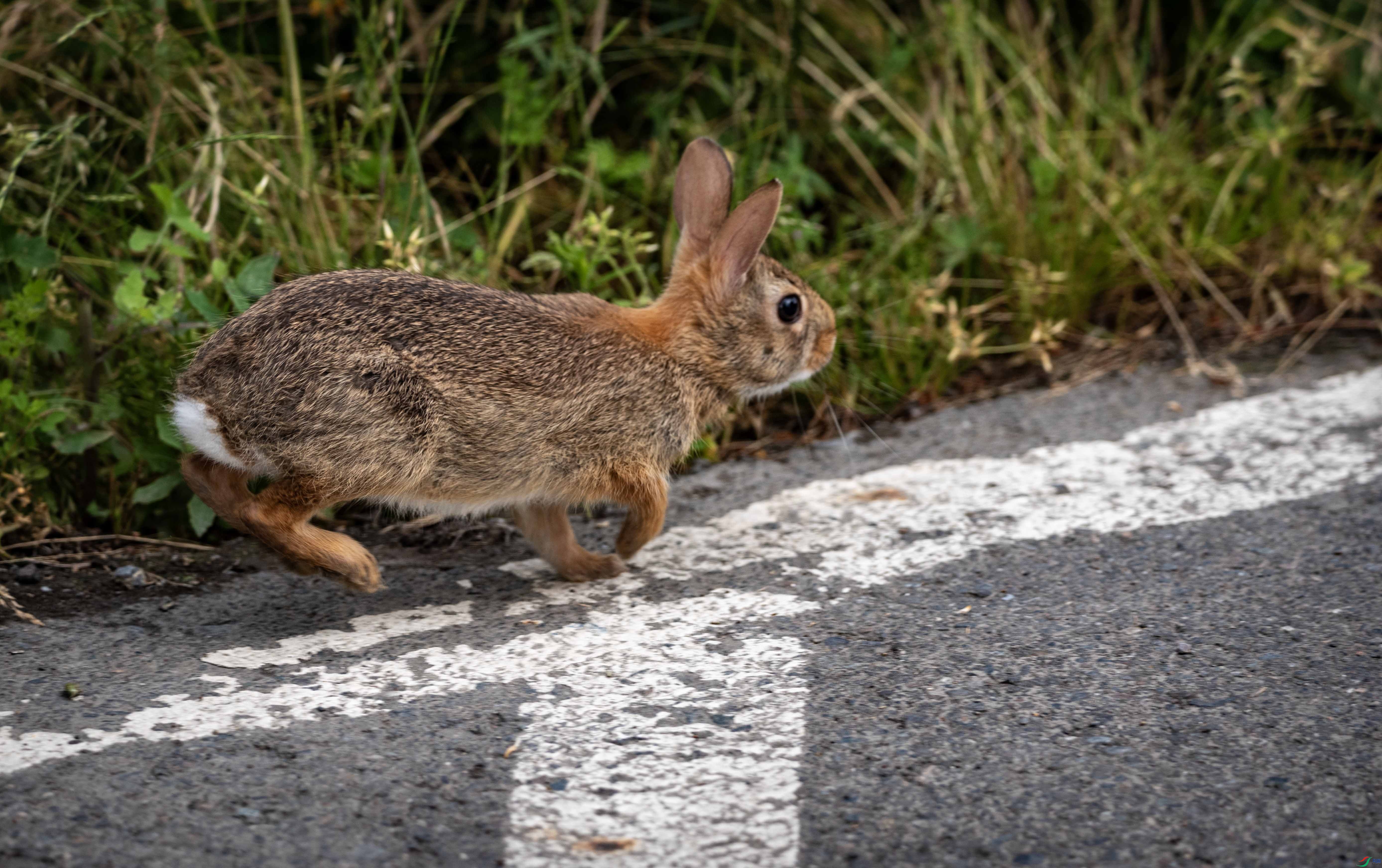 DSC_7347 ����2.jpg