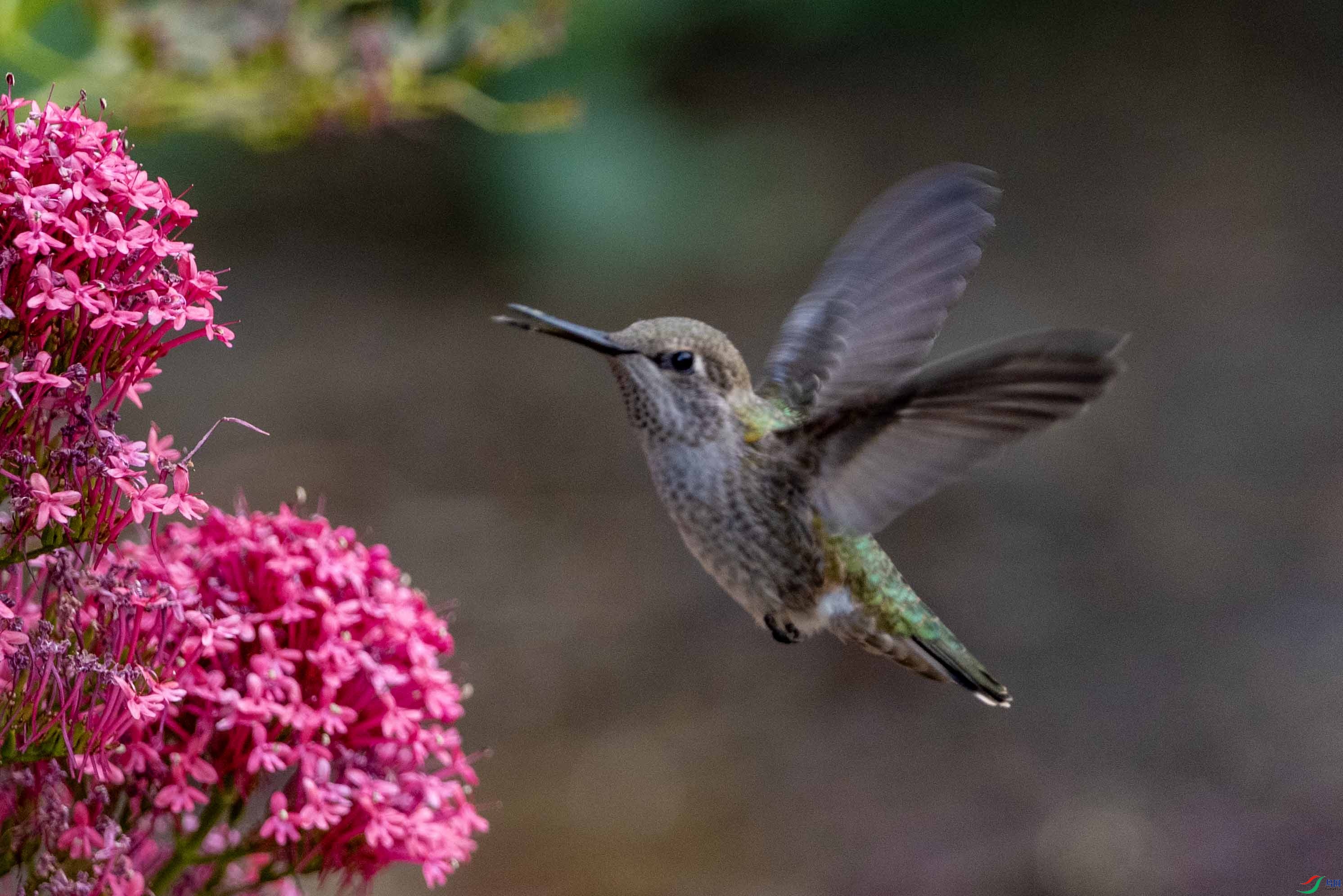 DSC_6848 ����2.jpg