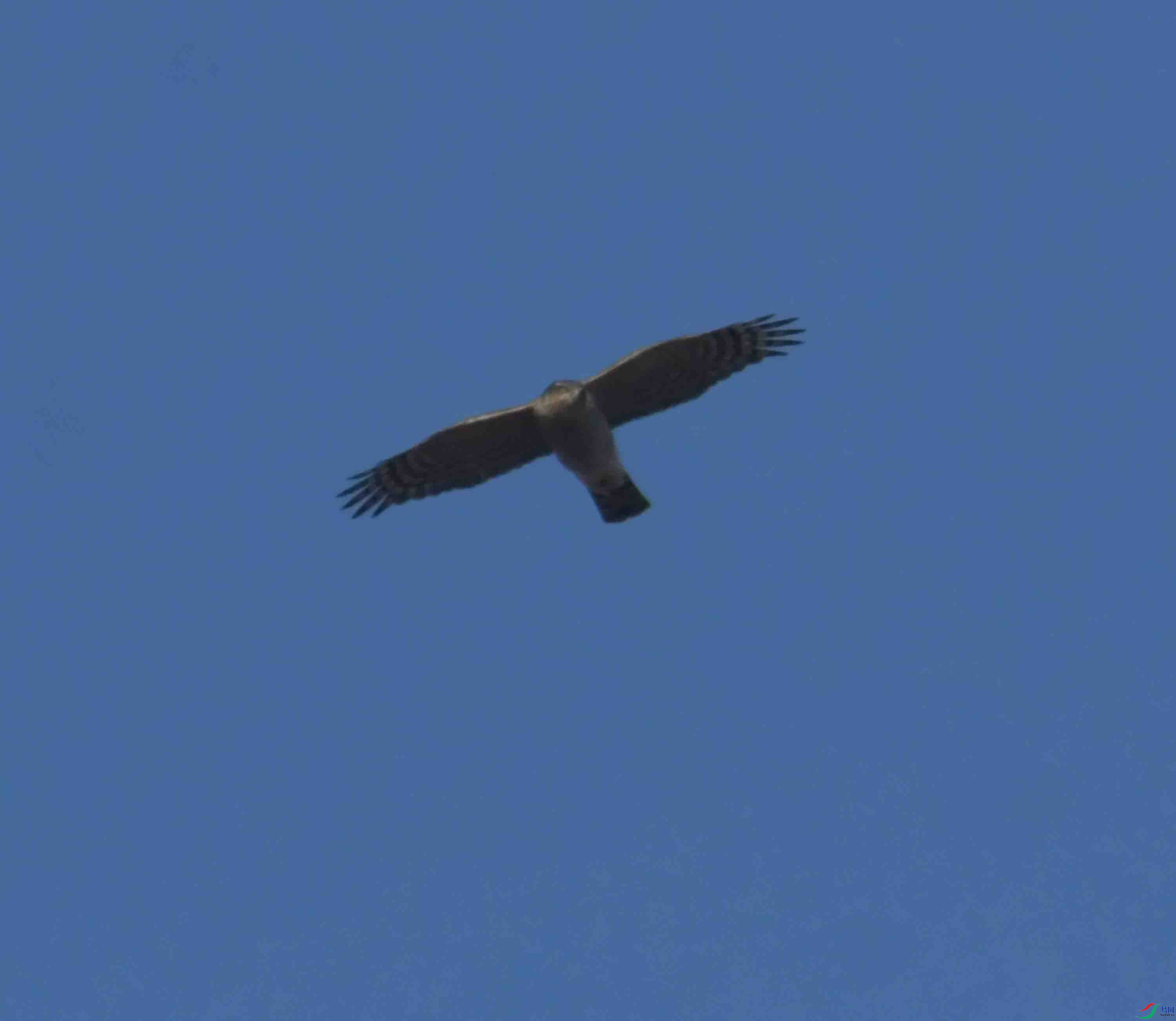 DSC_1576.JPG