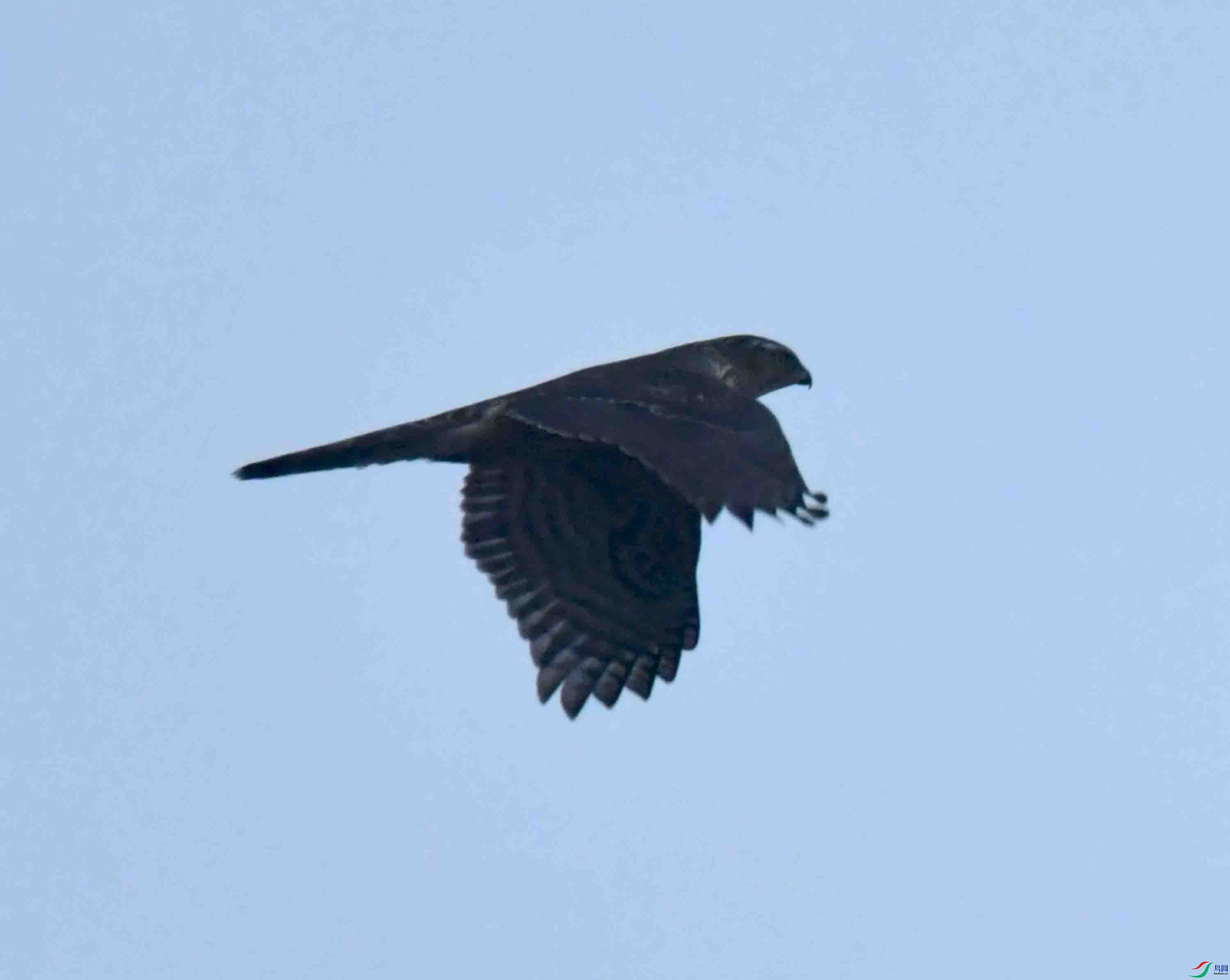 DSC_3040.JPG