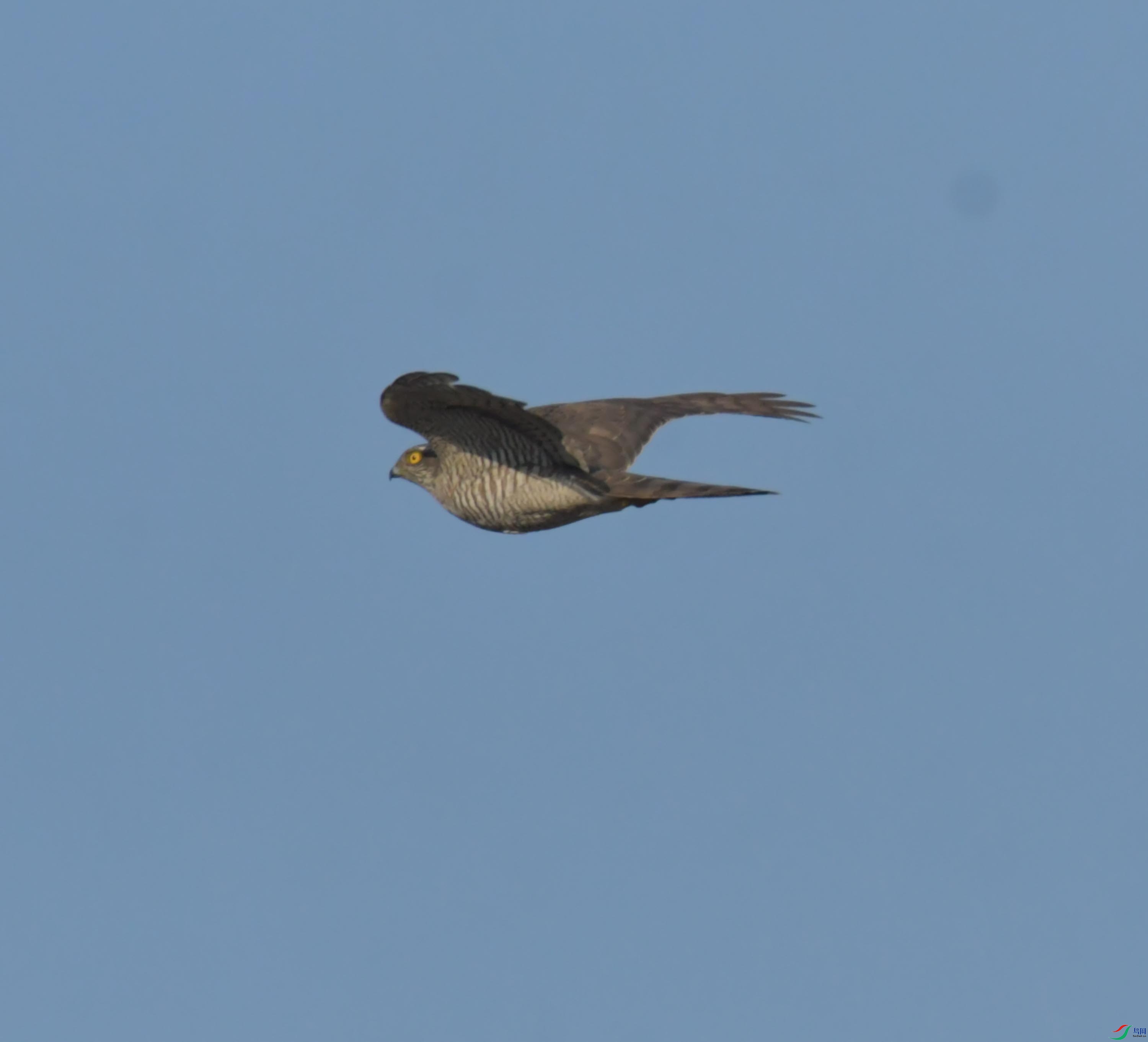 DSC_3458.JPG