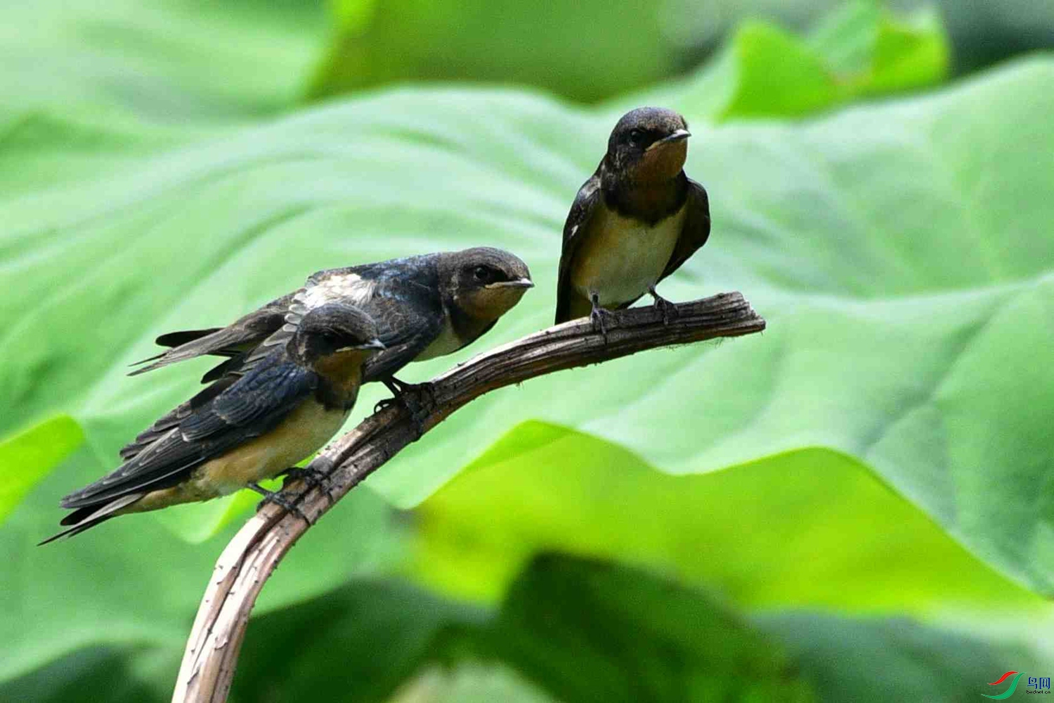 DSC_8677.jpg
