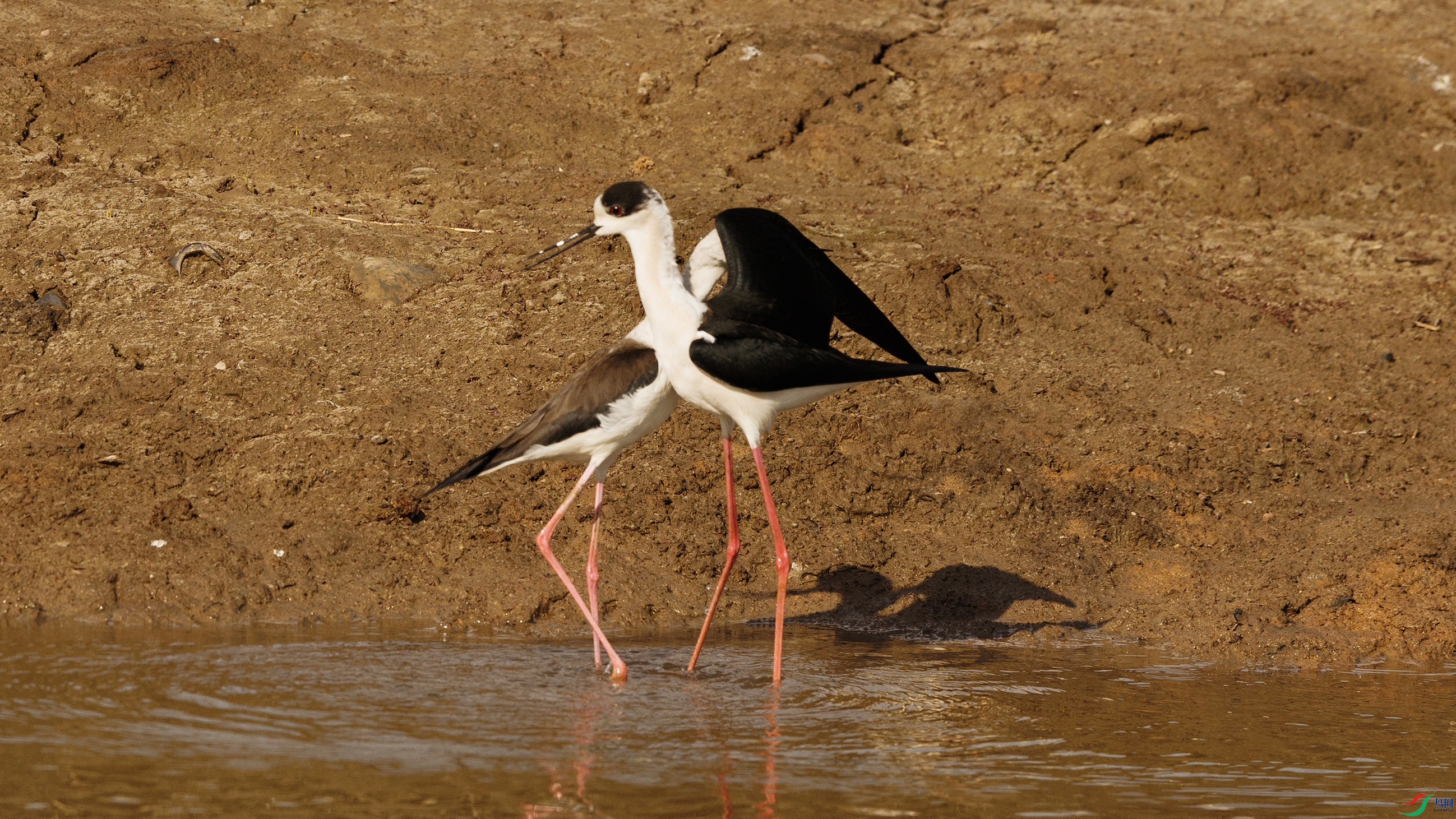 7X5A5789 ����.jpg