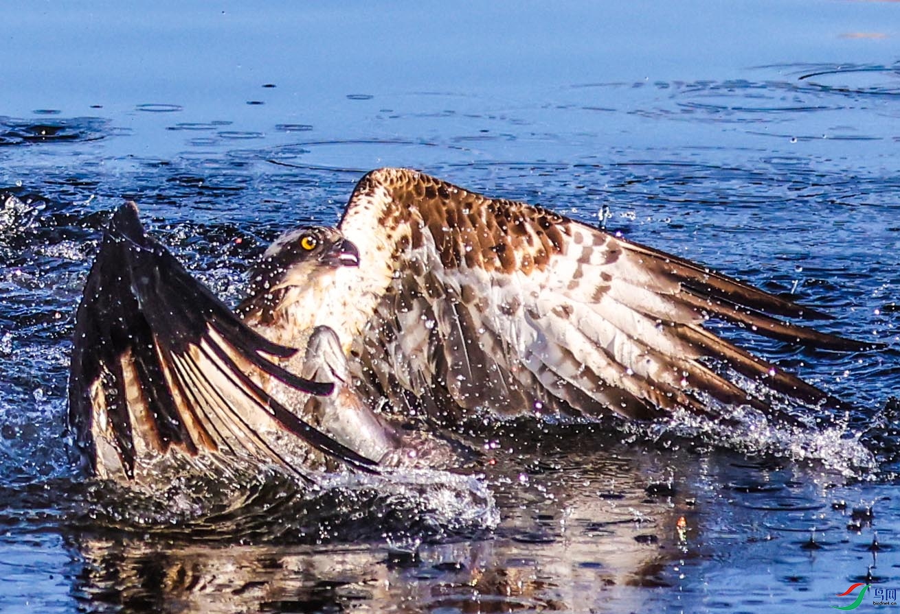 ��������3 ����.jpg