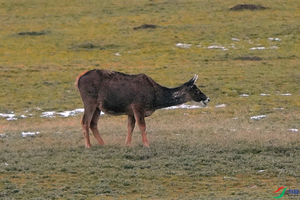 DSC08300_����.jpg