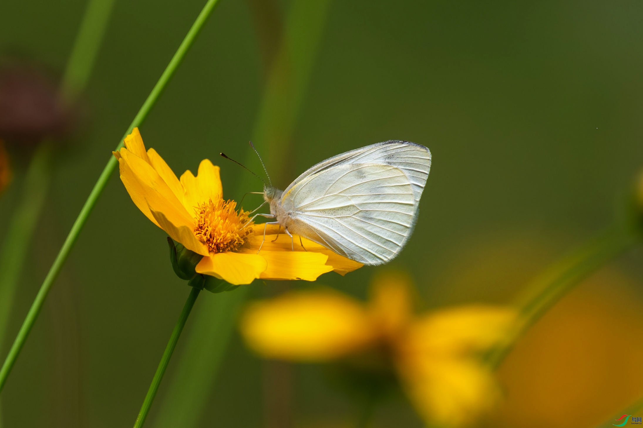 DSC_1621.jpg