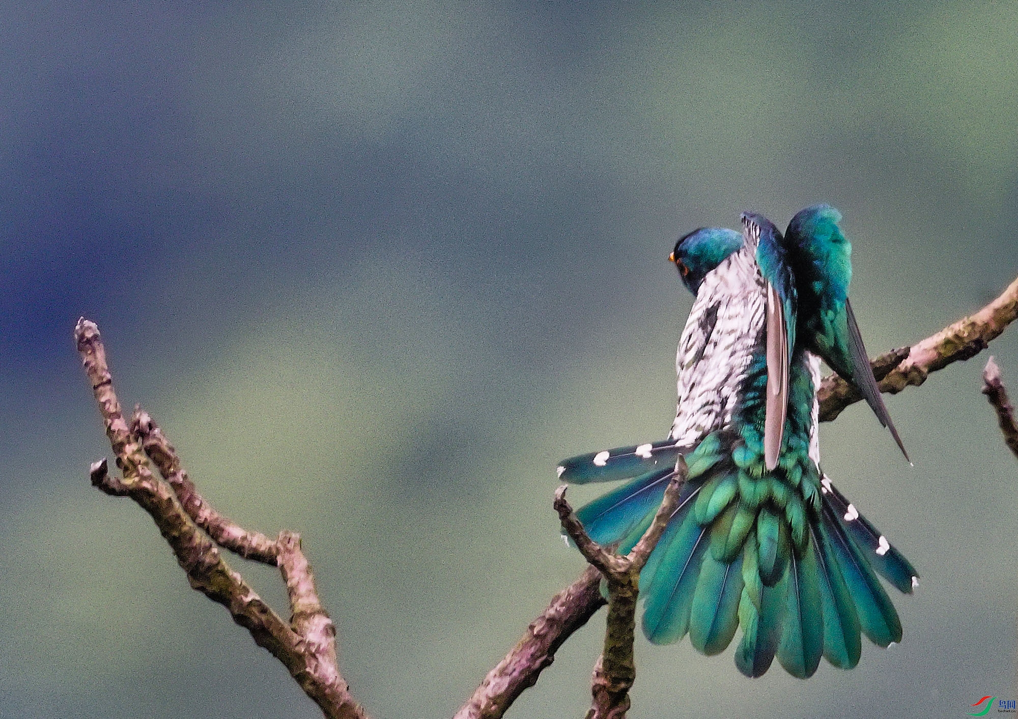 �����������飩