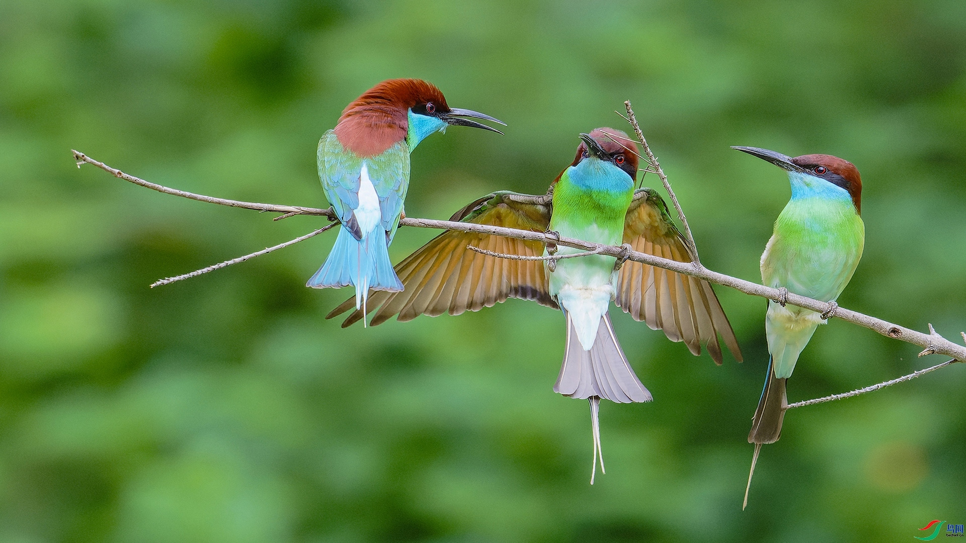 6.12����627��ʦ��Ʒ   �������� ��ף���ٻ����Ѿ�����.jpg