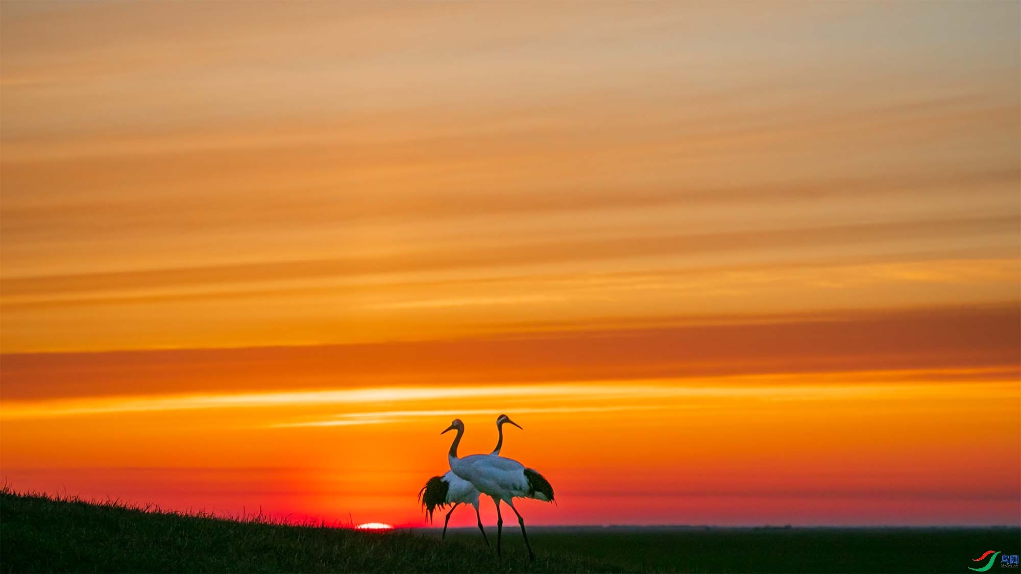 6.13�������У�71����ʦ��Ʒ   ������ϼ���� ��ף���ٻ���Ӱʦ������.jpg