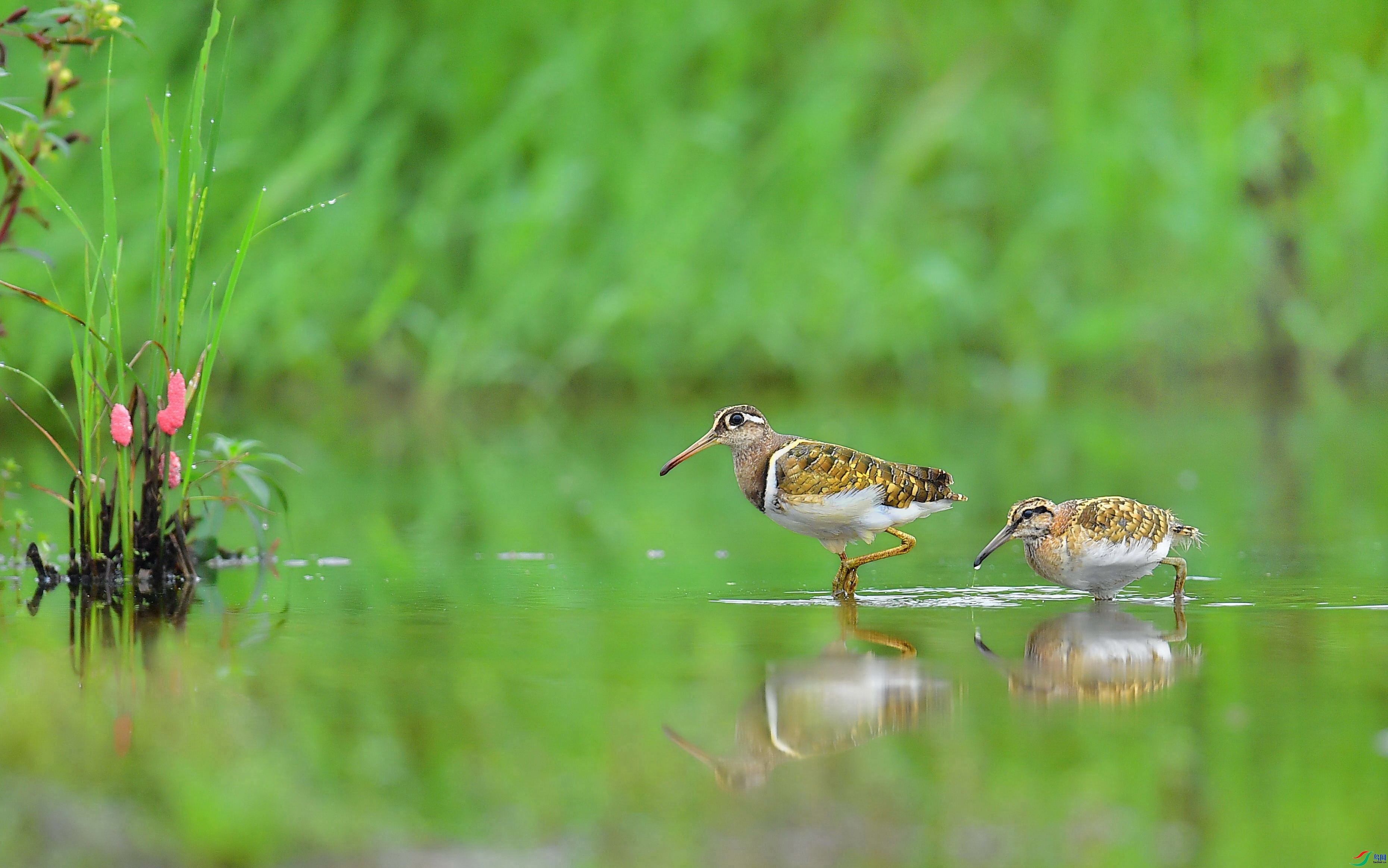 6.14�͸���ʦ��Ʒ   ������������ ��ף���ٻ��Ա������.jpg