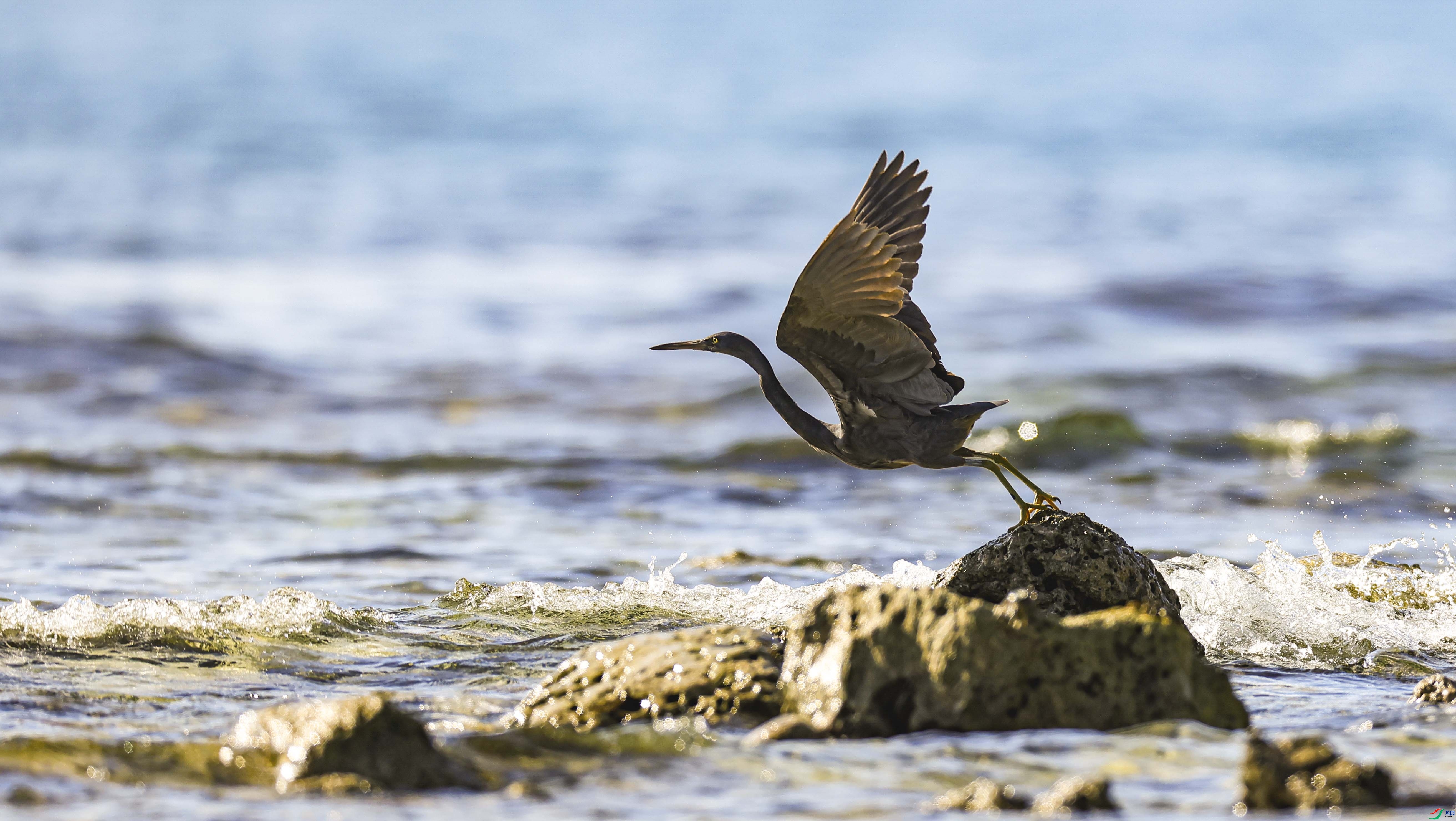 6.20������ʦ��Ʒ   һԾ���� ��ף���ٻ��Ա������.jpg