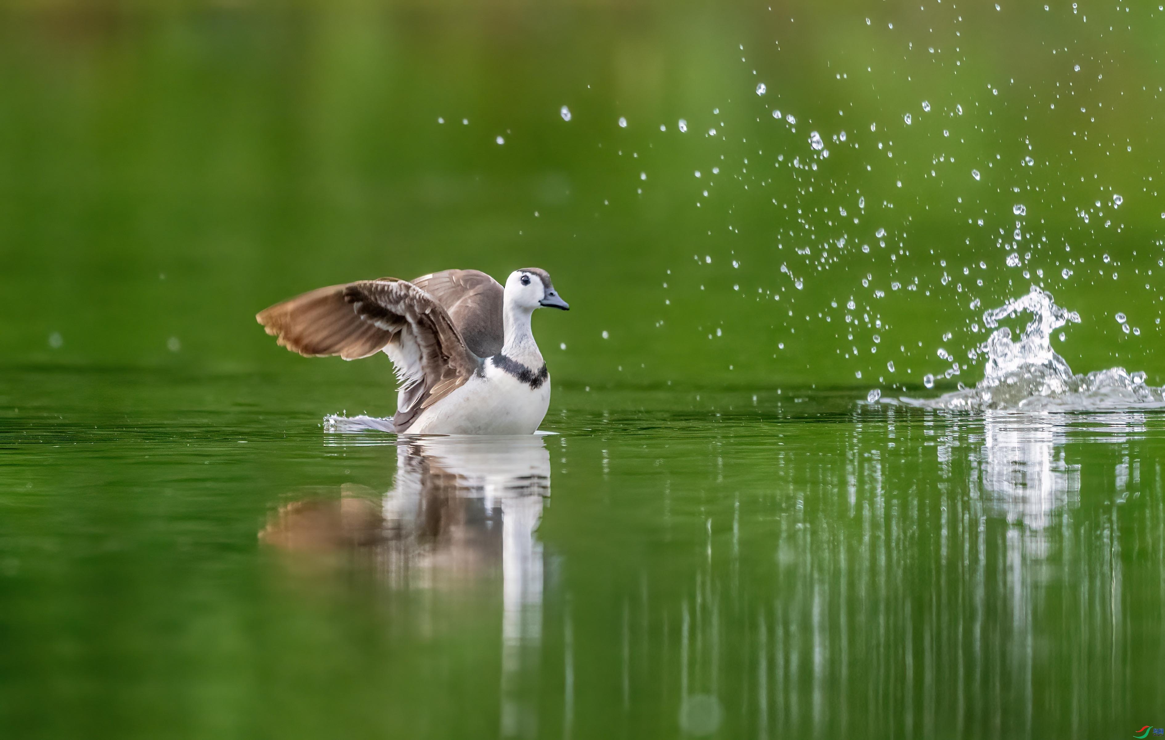 6.24����п���ʦ��Ʒ   ���죨ף���ٻ��Ա������.jpg