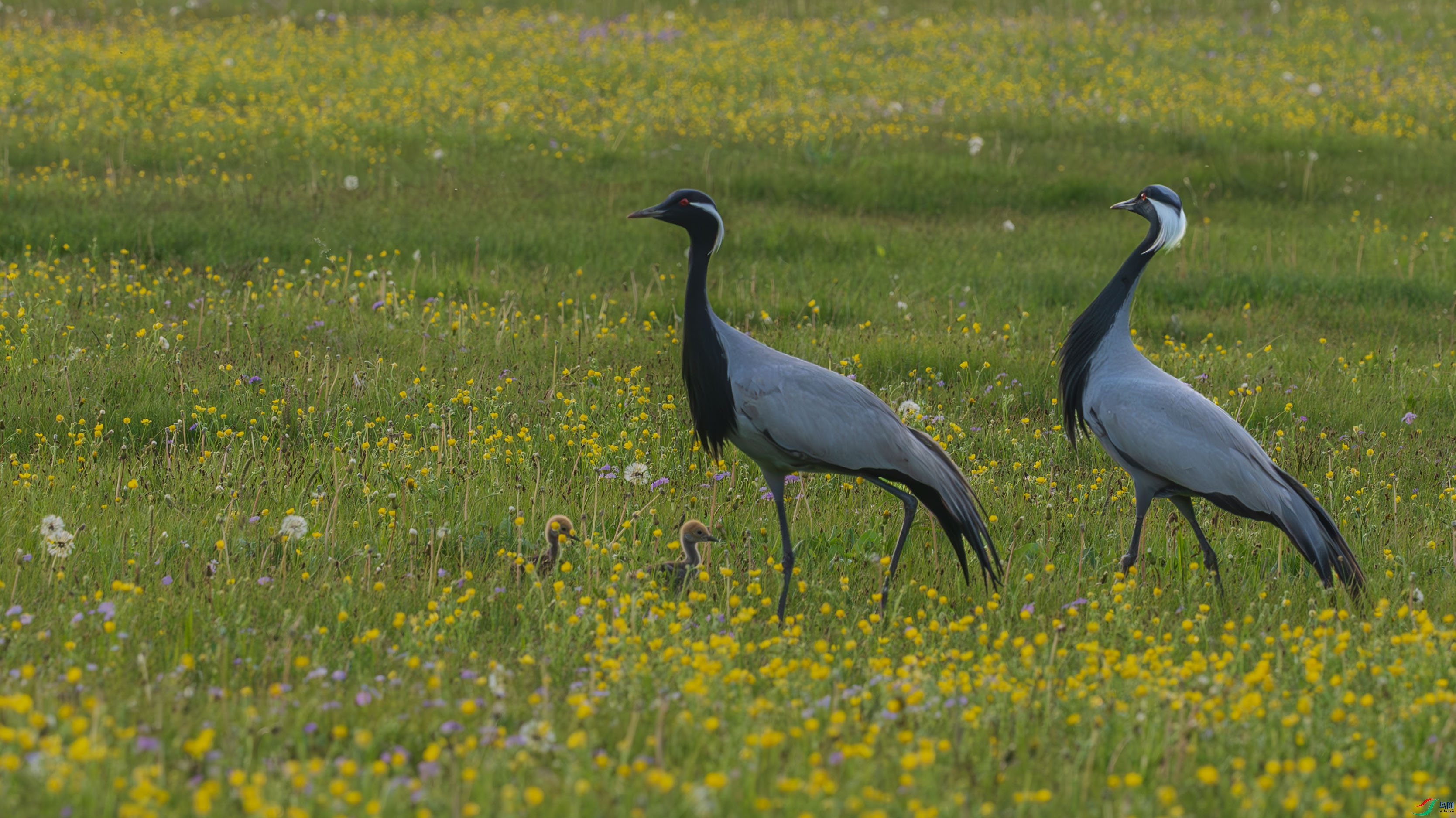 DSC_4489-2.jpg