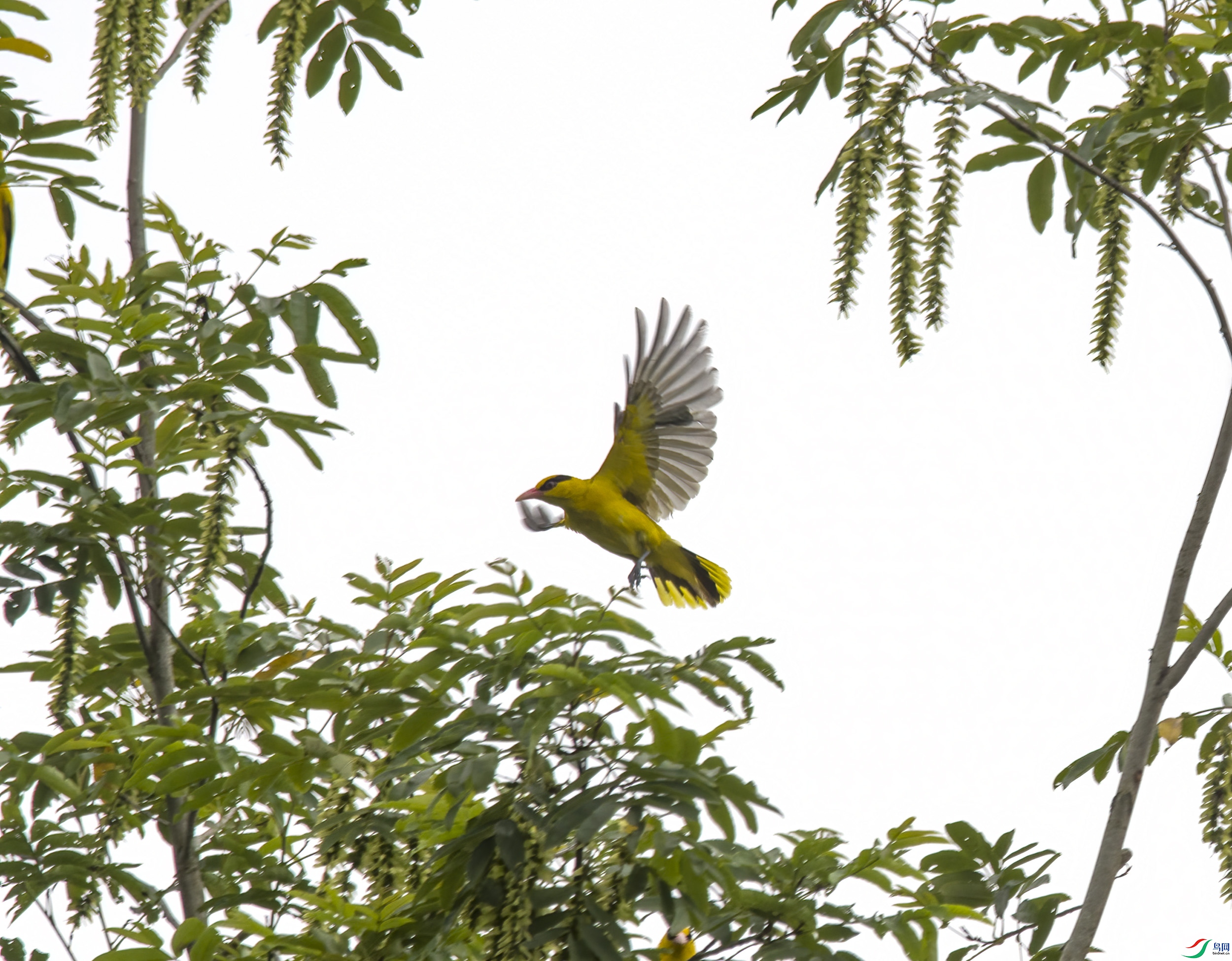 DSC_2036.jpg