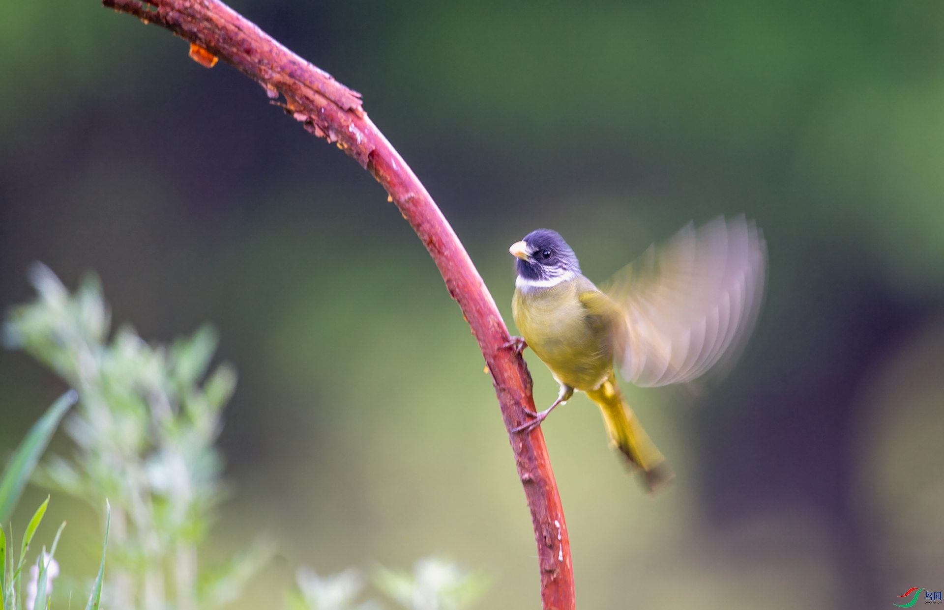 DSC_8324-gigapixel-standard-v2-2x-1.jpg