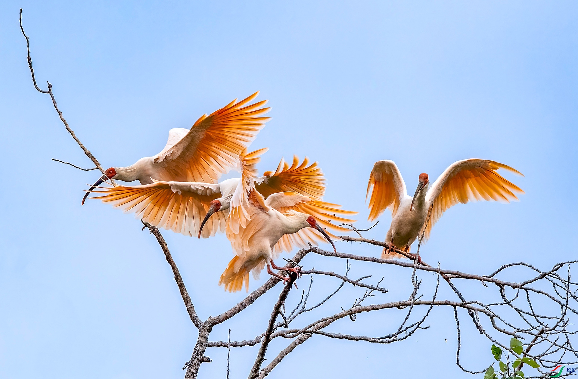 DSC_6240 ����_����.jpg