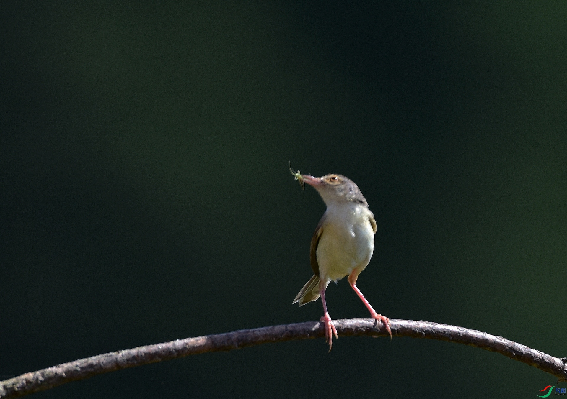 D8I_1069.jpg