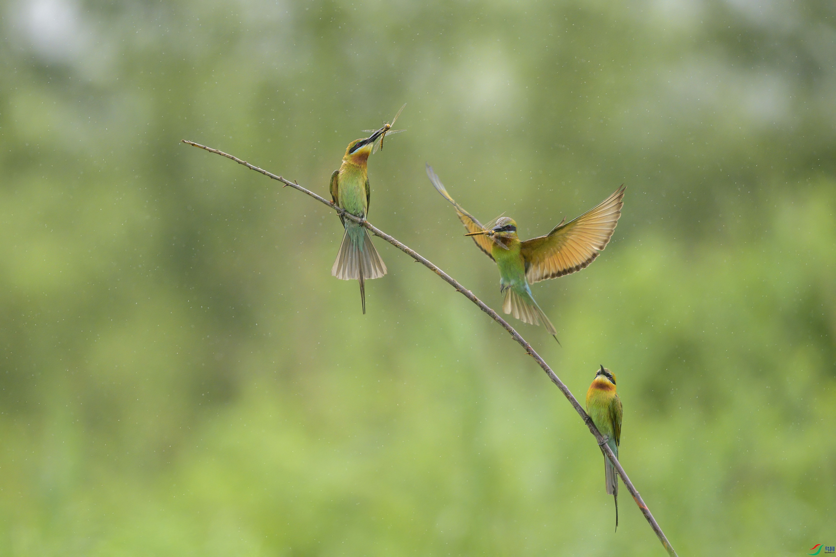 _DSC0485 ����2F01.jpg