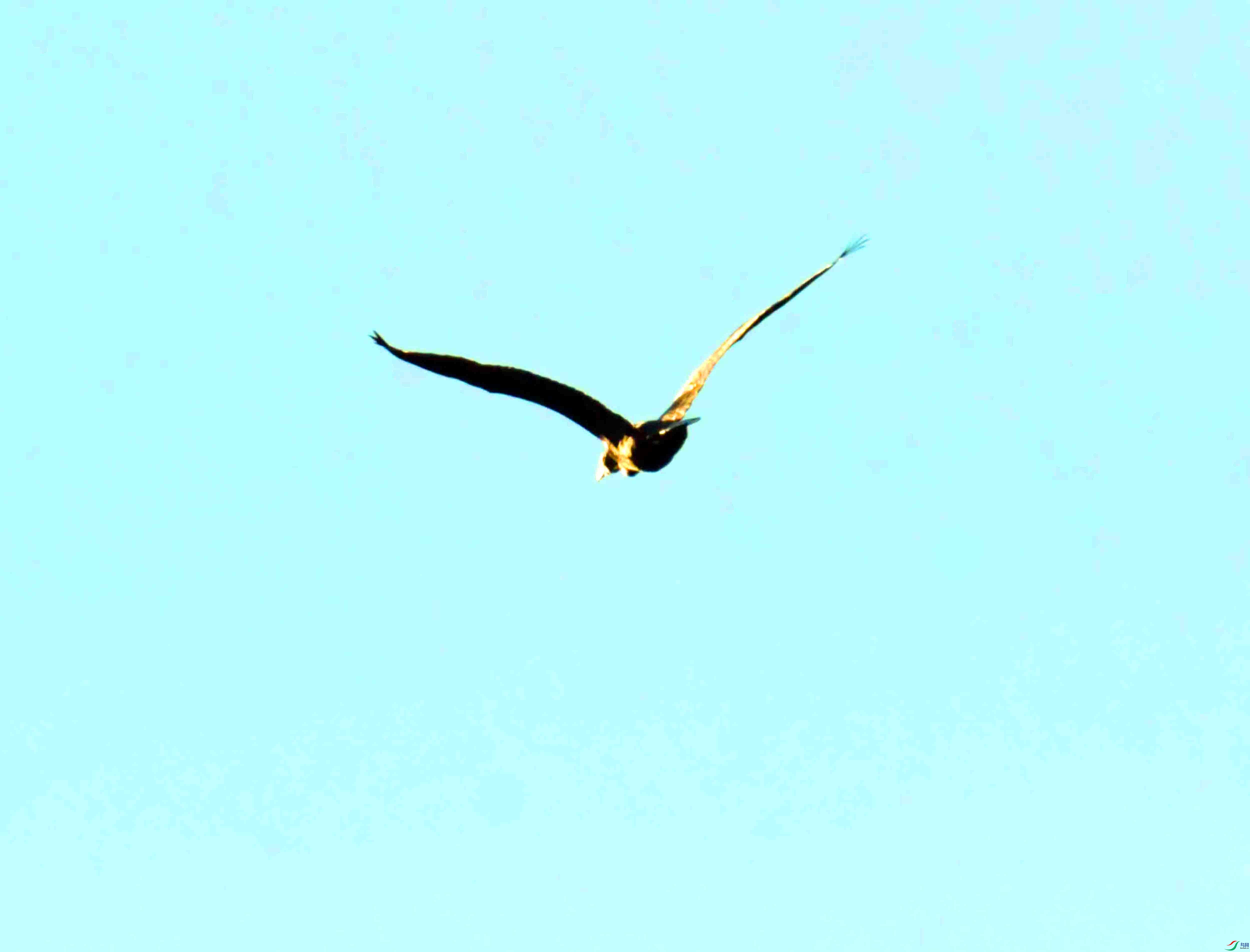 DSC_2815.JPG