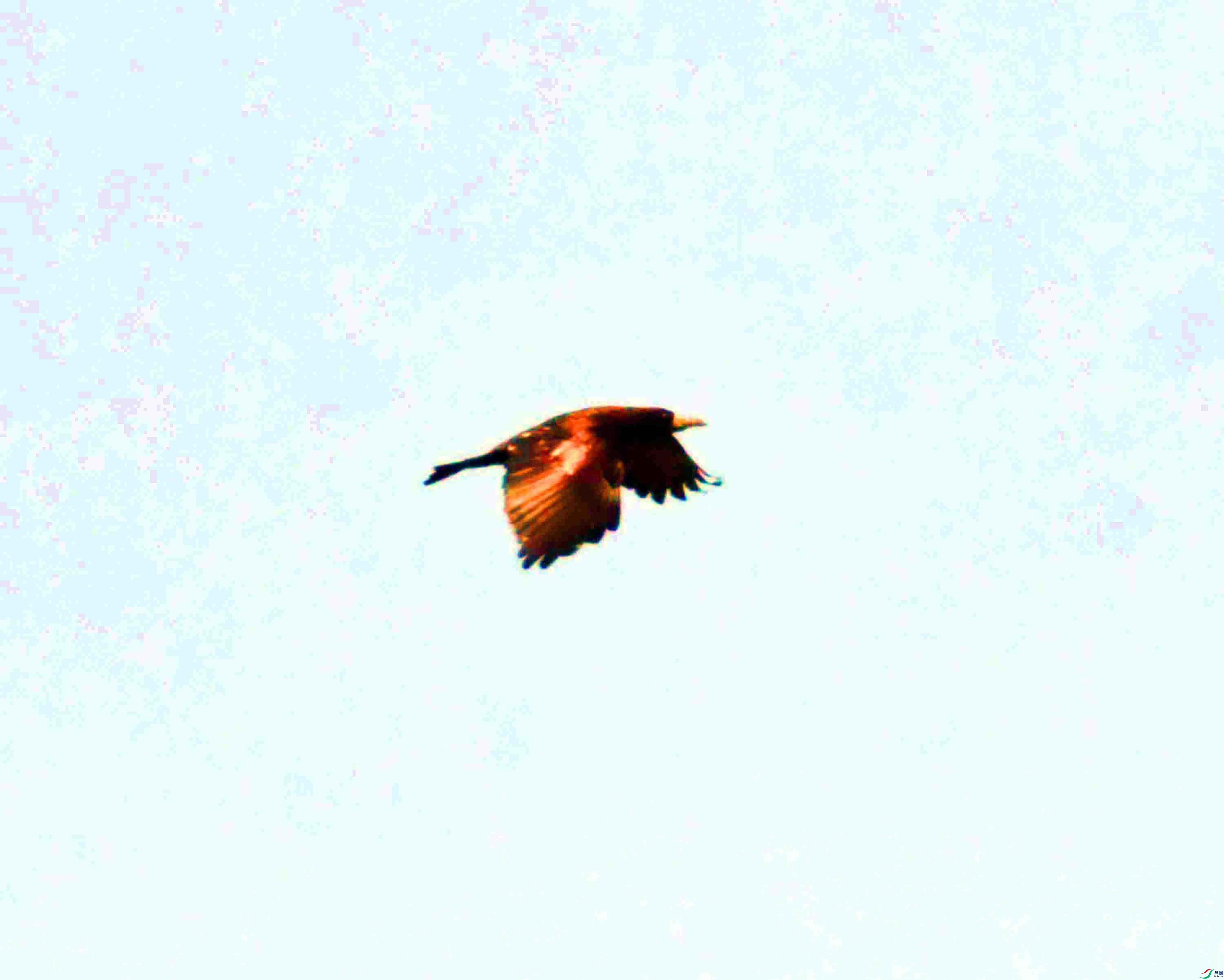 DSC_3192.JPG
