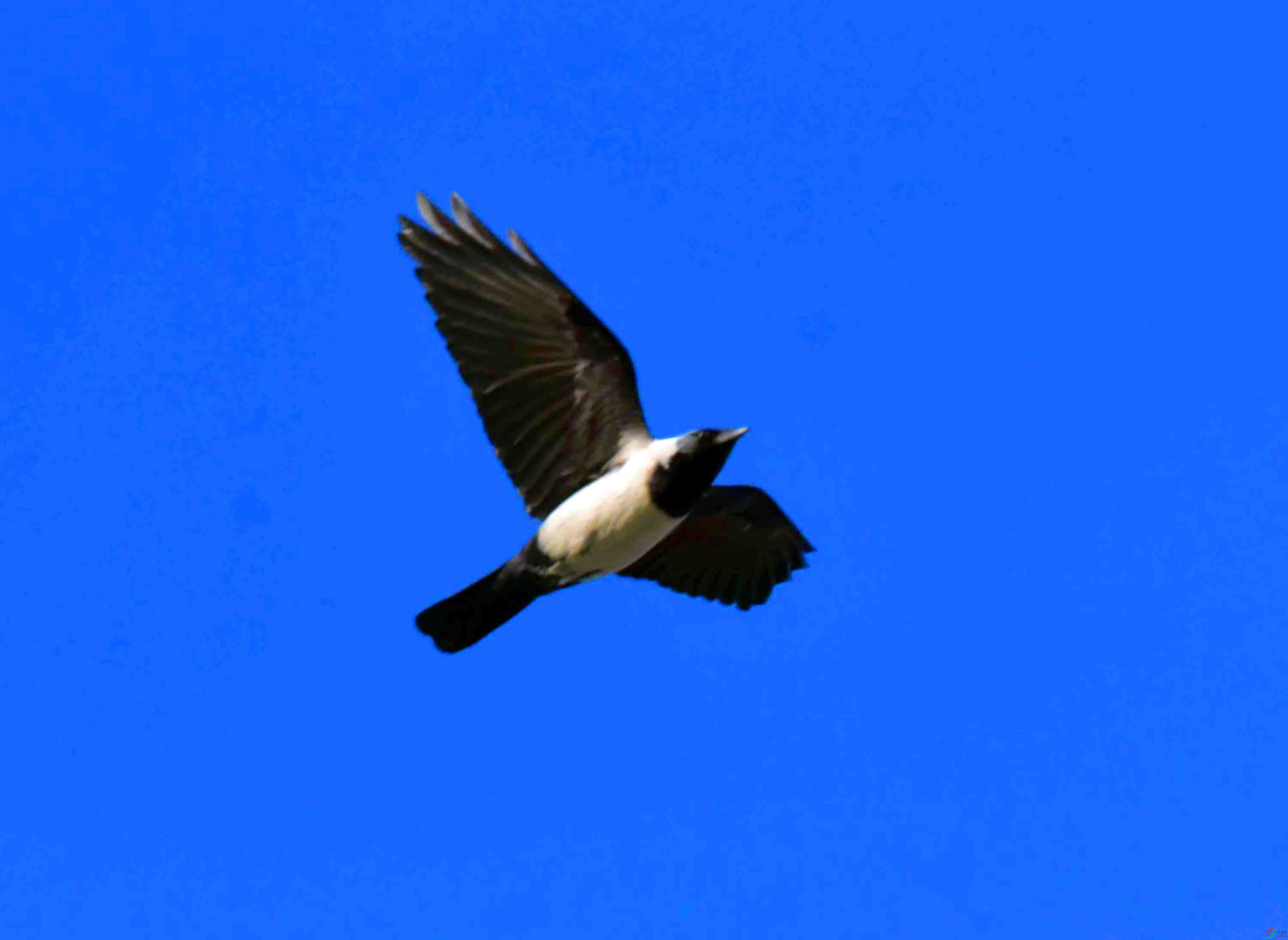 DSC_7871.JPG