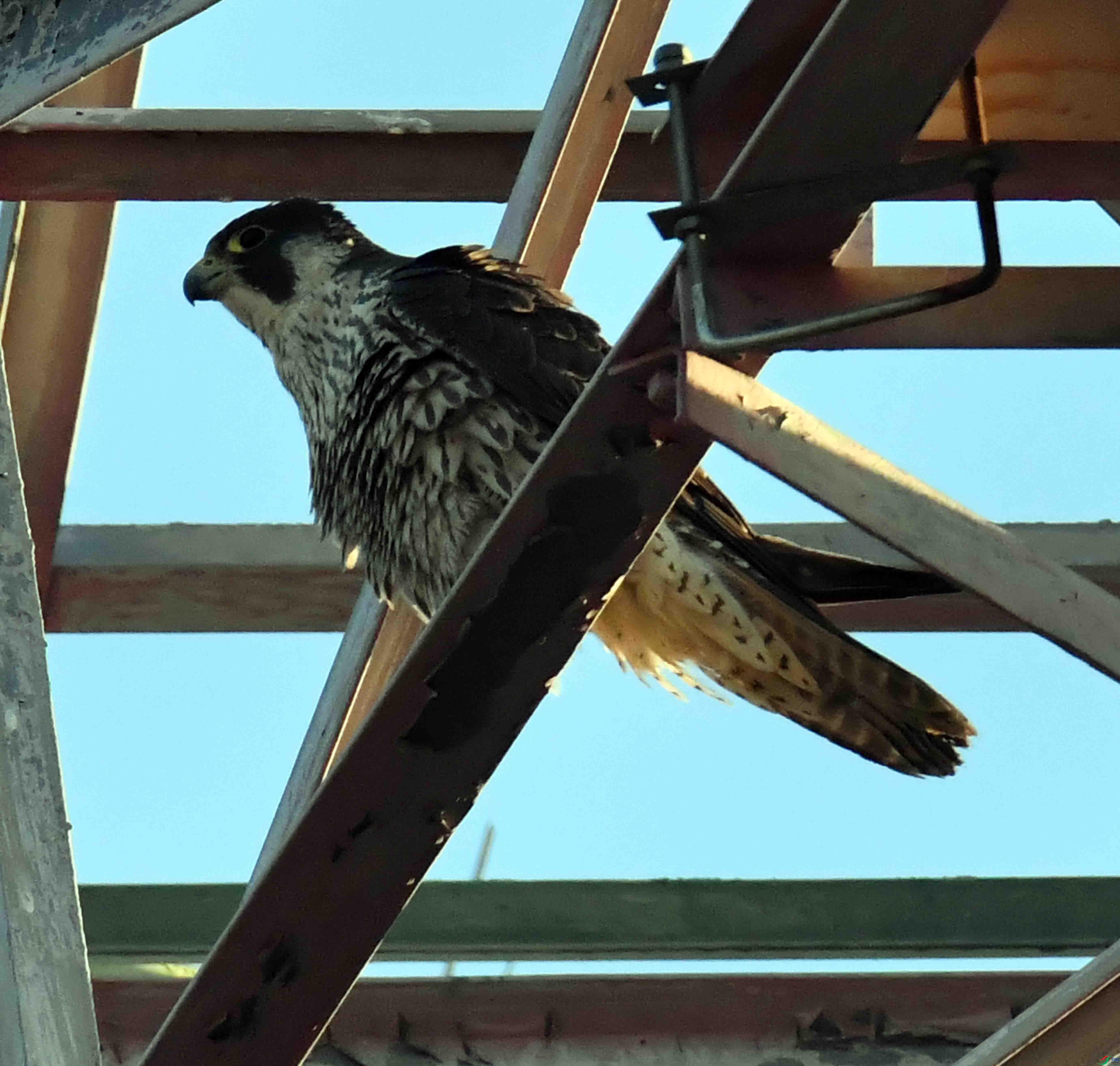 DSC_9044.JPG