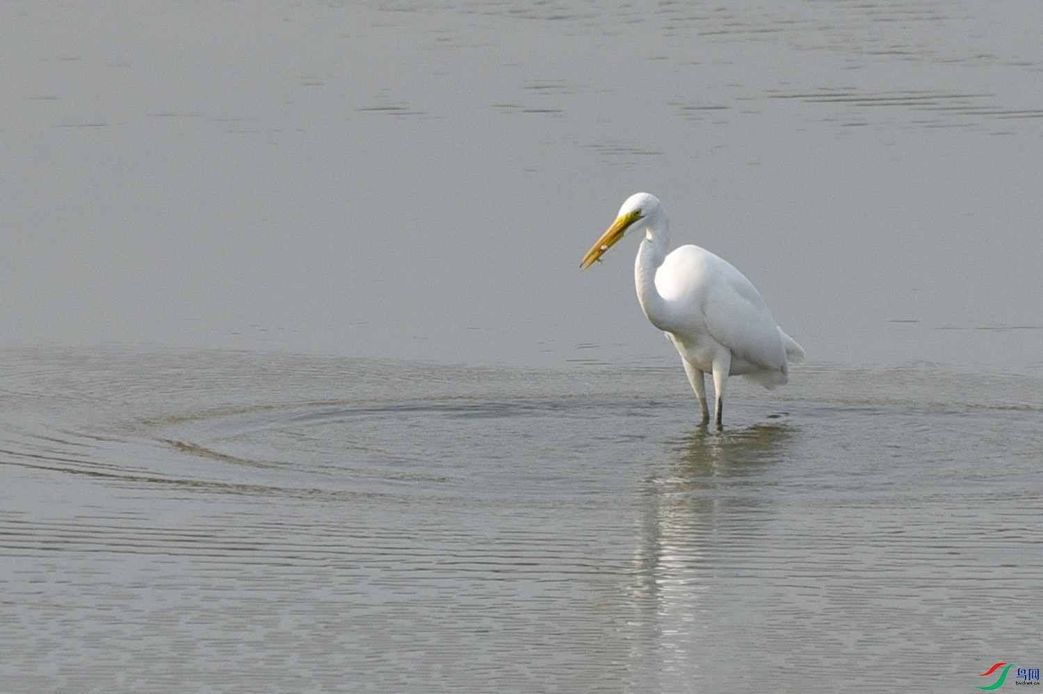 DSC_3998.JPG