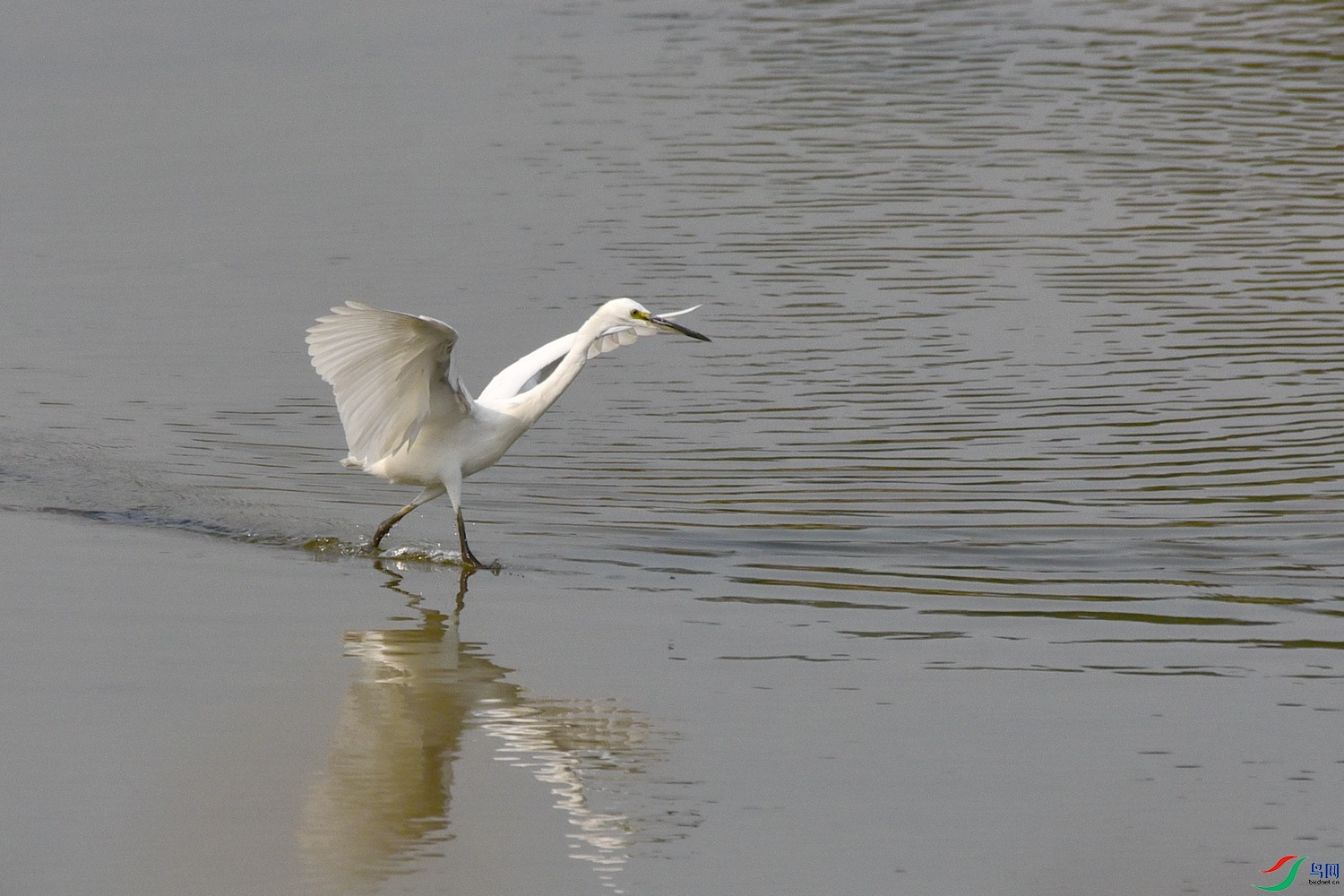 DSC_4021.JPG