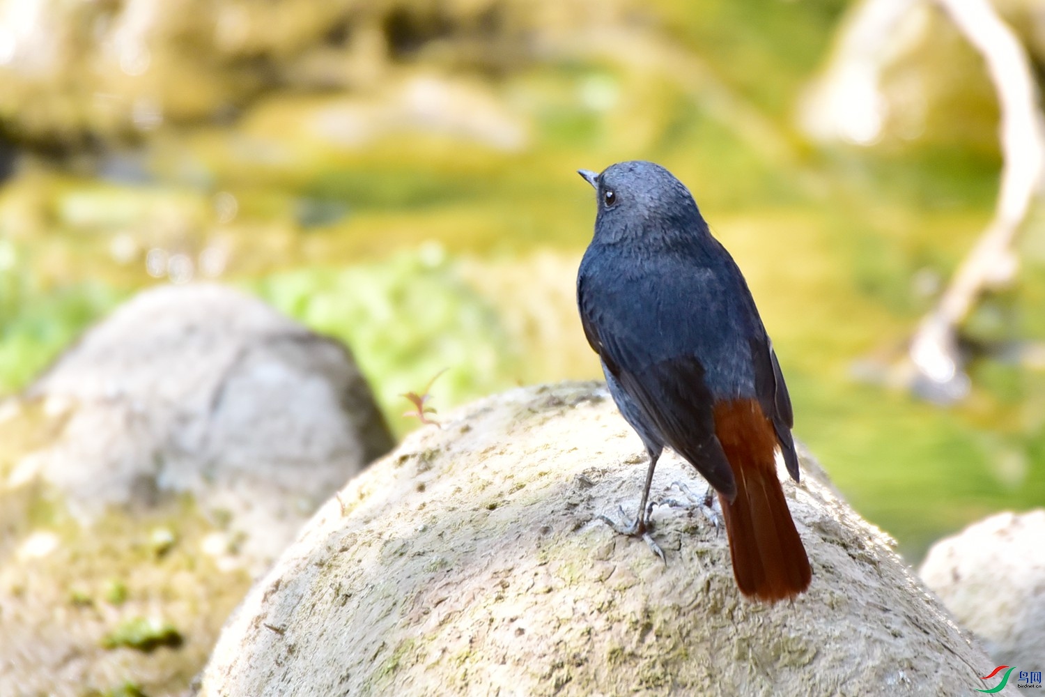 DSC_7426.JPG