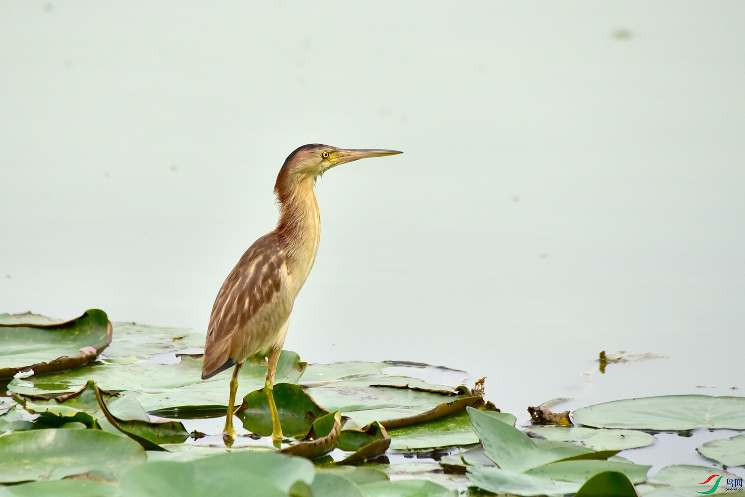 DSC_8962.JPG