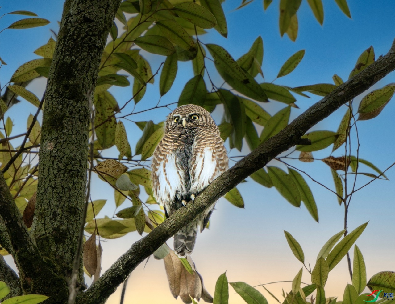 DSC05836-����ǿ ����.jpeg