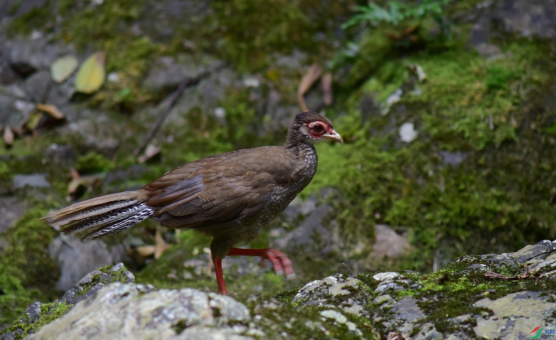 D8I_5925.jpg