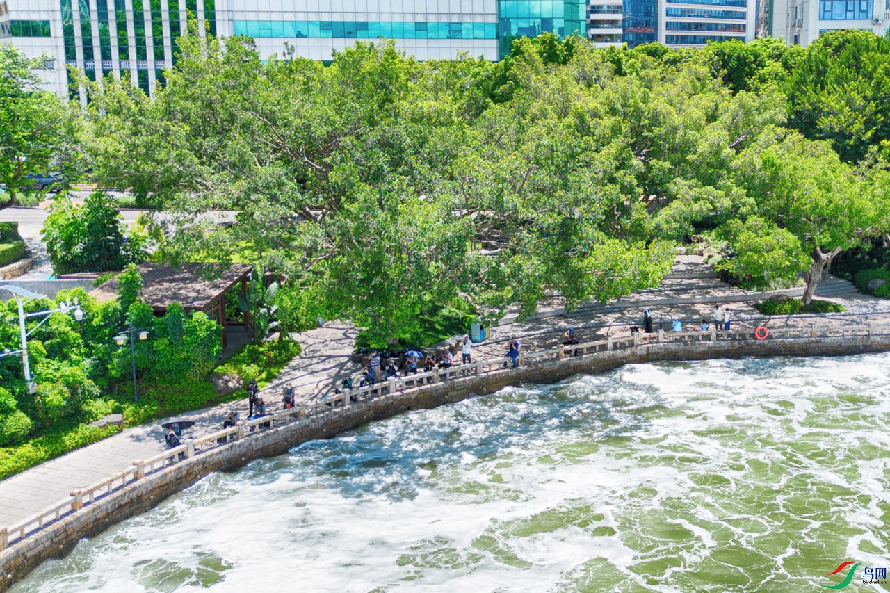 DJI_0379_����.jpg