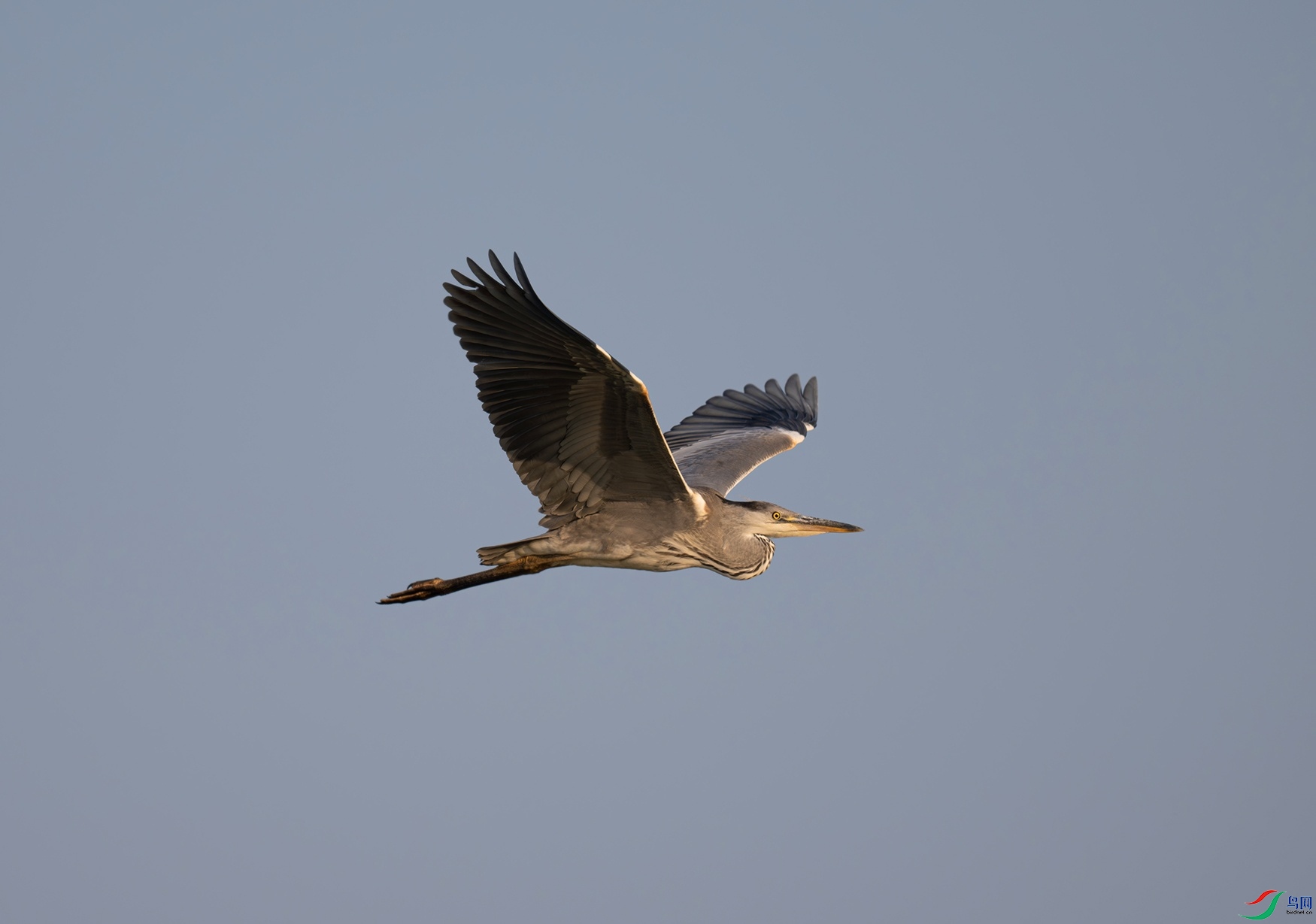 _DSC3125f.jpg