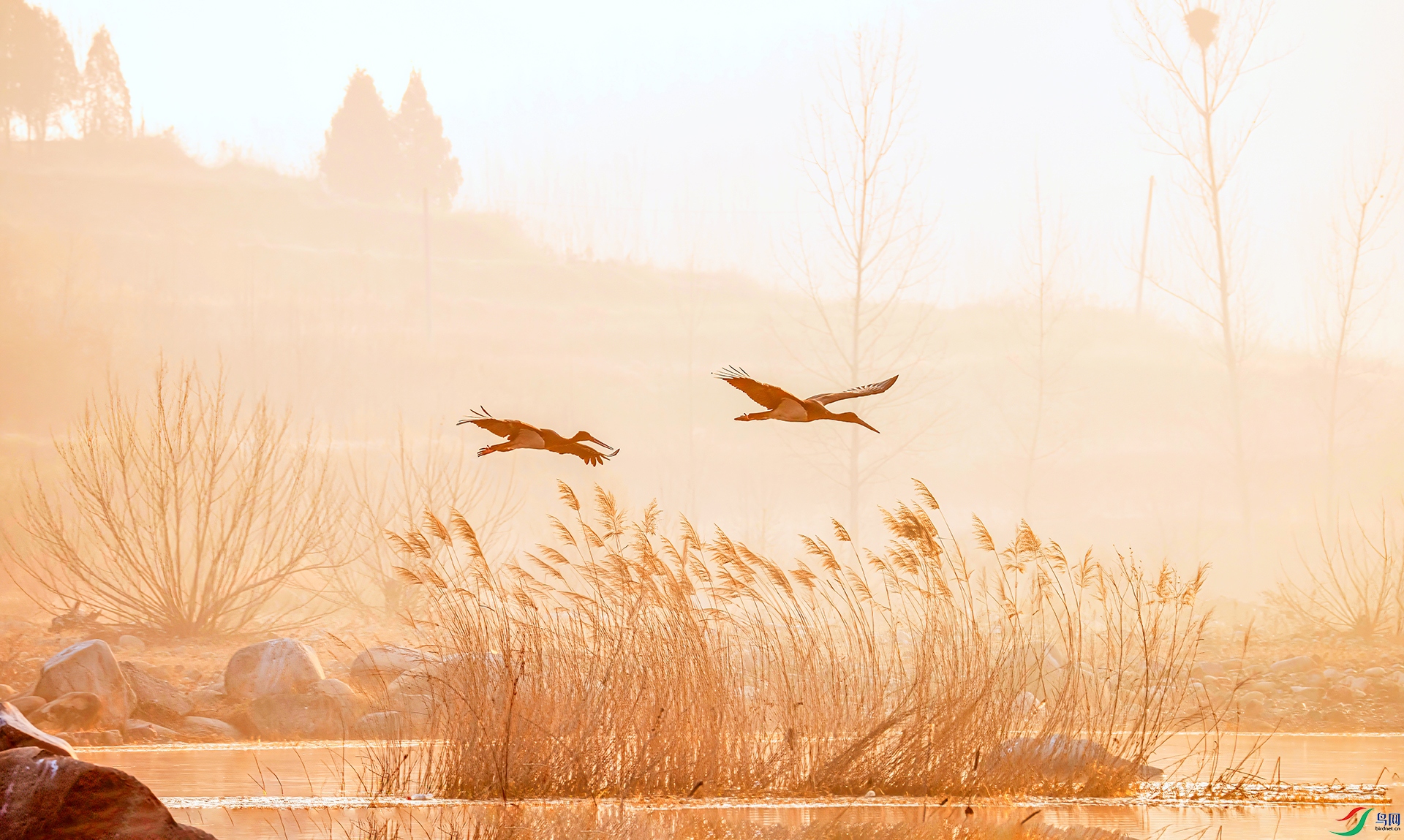 407A7025 ����-Sh--01 .jpg