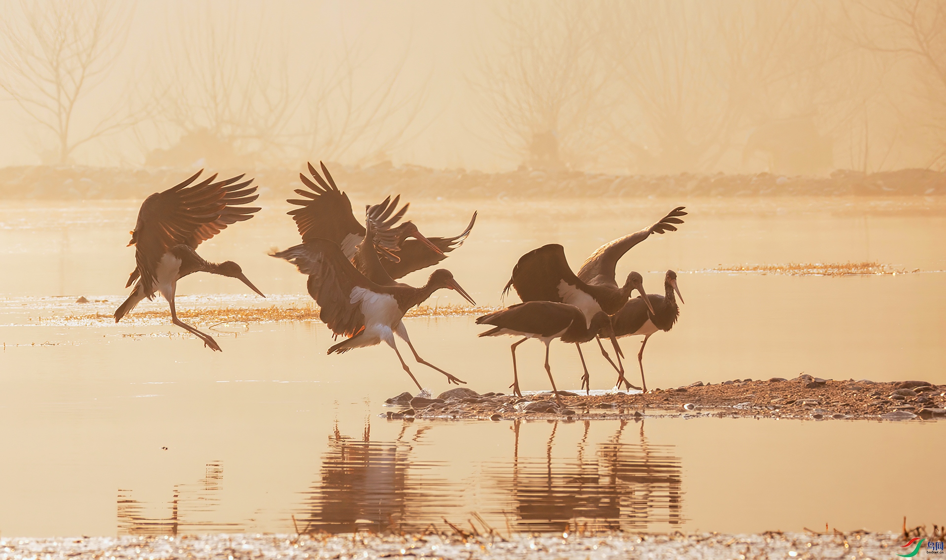 407A7063 ����-Sh-----1 .jpg