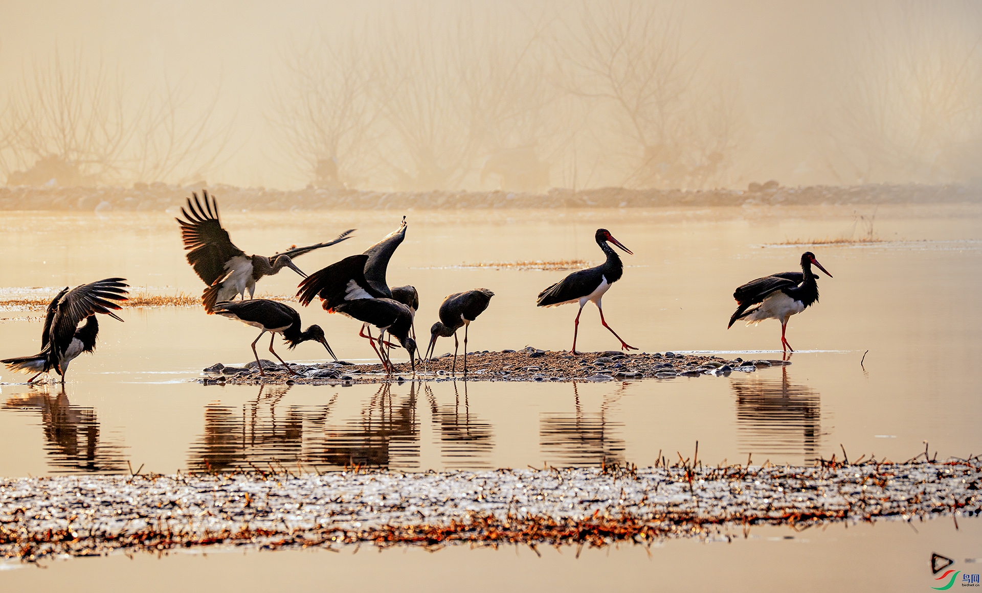 407A7071 ����  .jpg