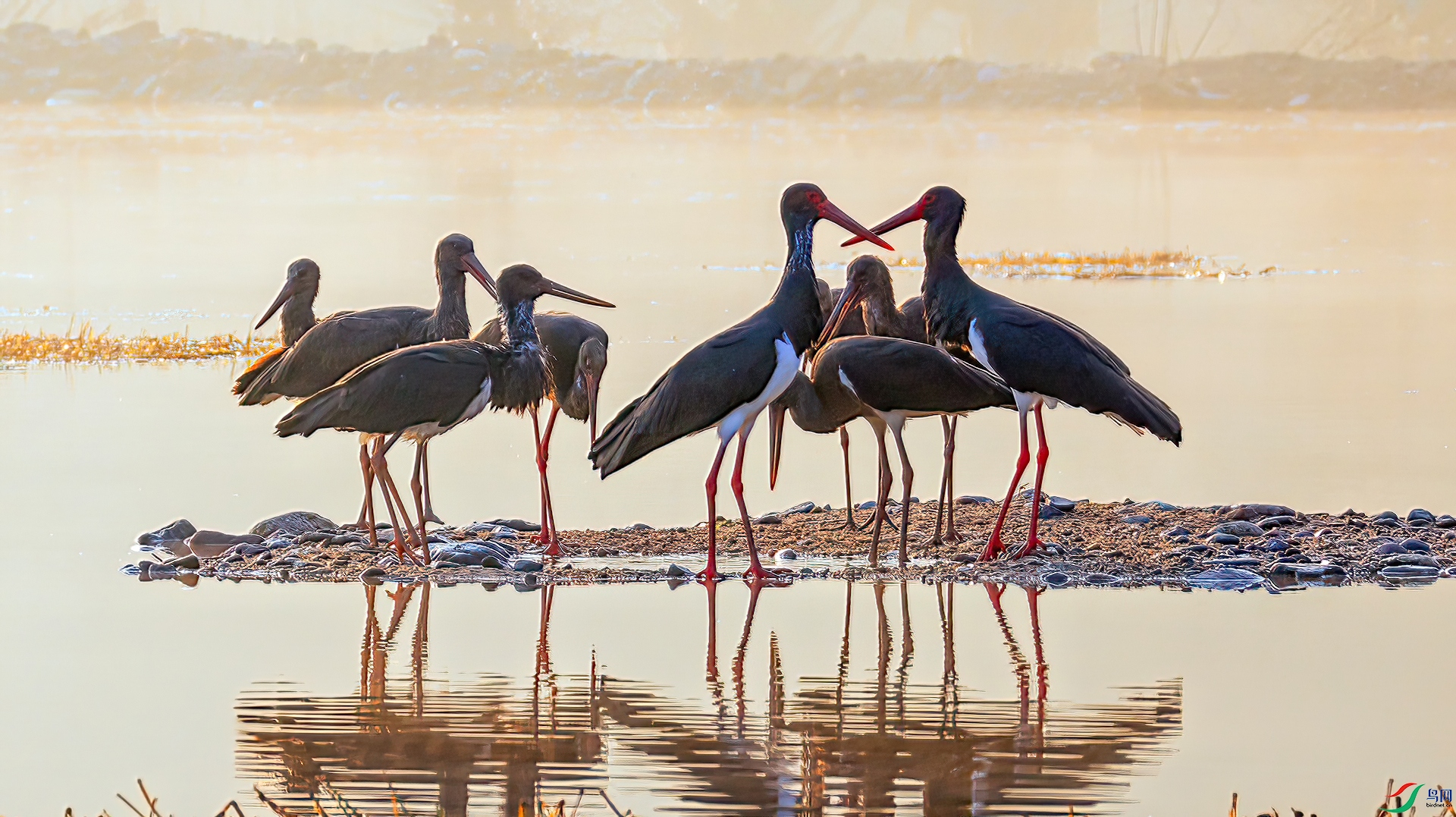 407A7098 ����  -Sh----1  .jpg